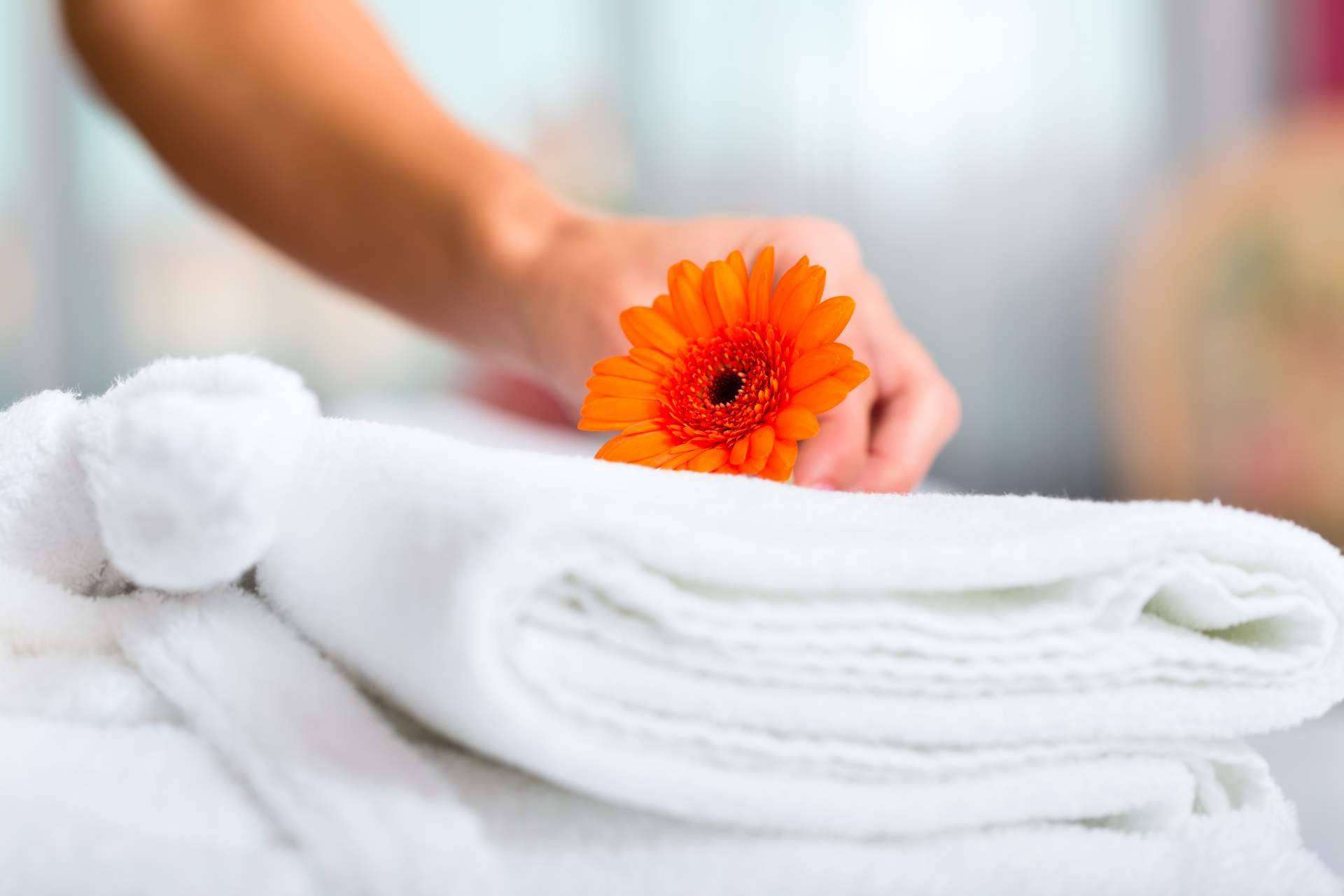 Auxihostelería ayuda a hoteles a crear ambientes frescos y agradables para la llegada del verano