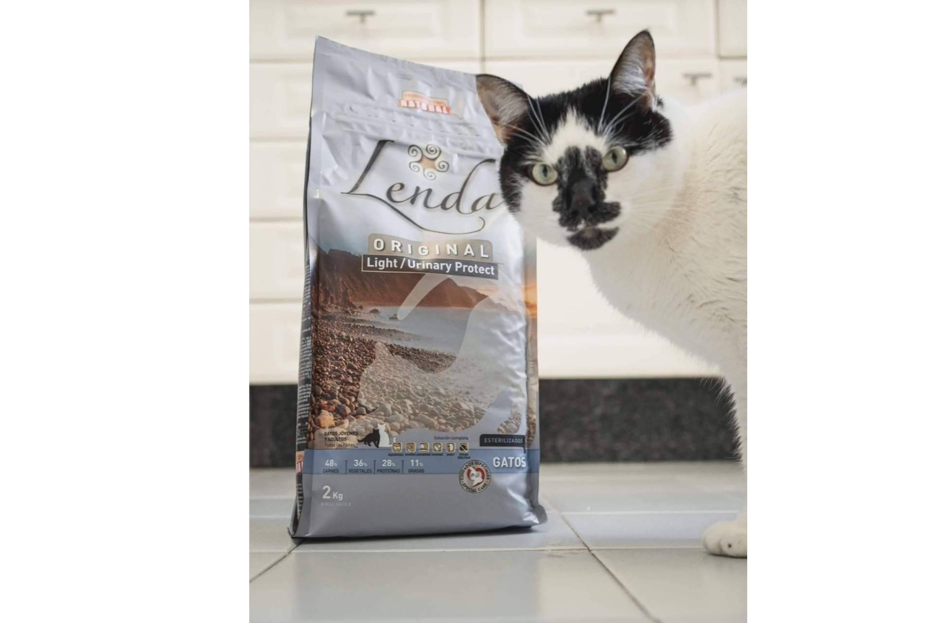 ¿Qué beneficios aporta la comida natural para gatos?, por Lenda