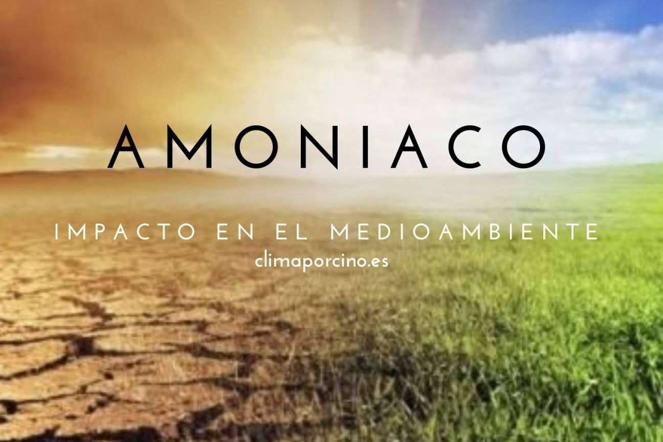 Clima Porcino comercializa exitosamente un aditivo que reduce las emisiones de amoniaco desarrolladas en el purín de las fosas de las granjas