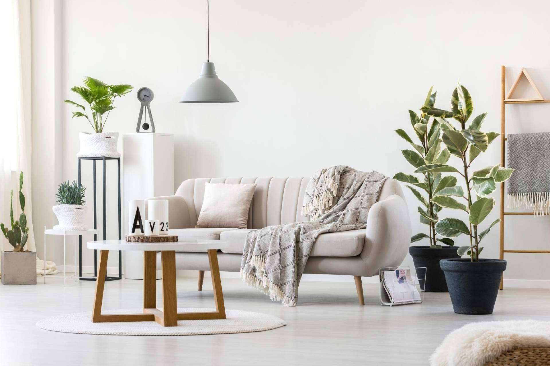 Todo lo que se necesita para decorar el hogar con los productos en tendencia de Iglú Tiendas