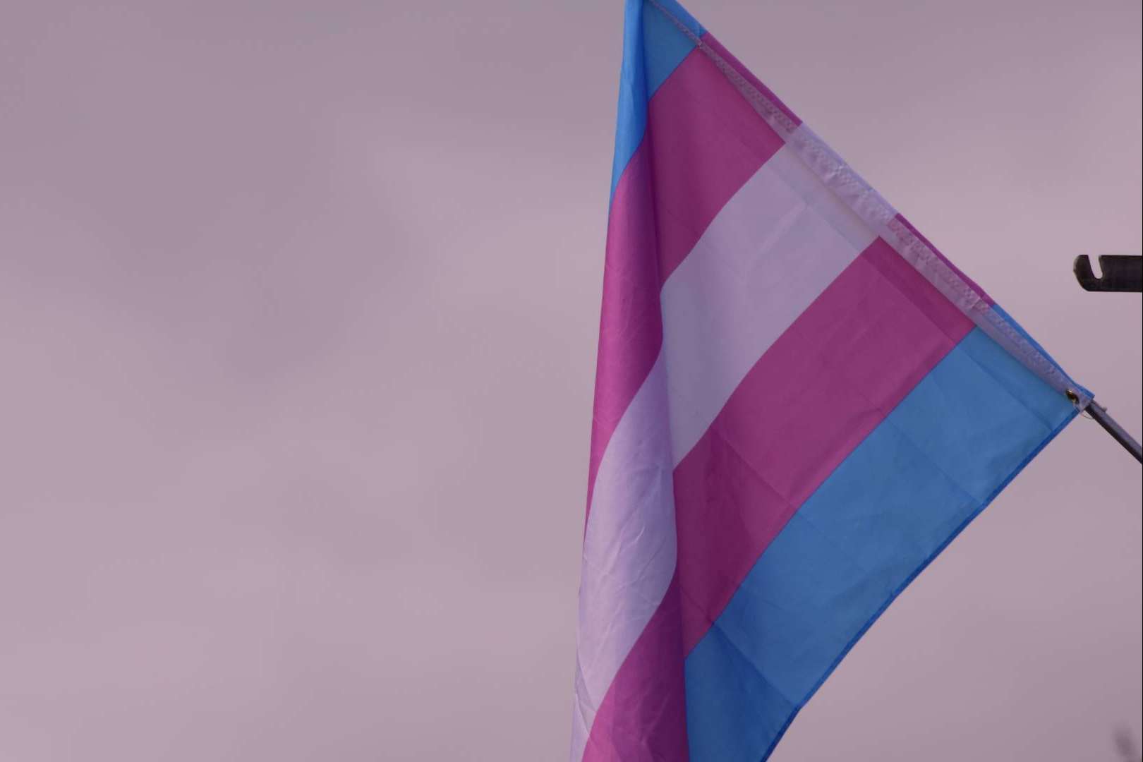 iMorosity apuesta por la diversidad haciéndose colaborador de la Asociación Home of Trans