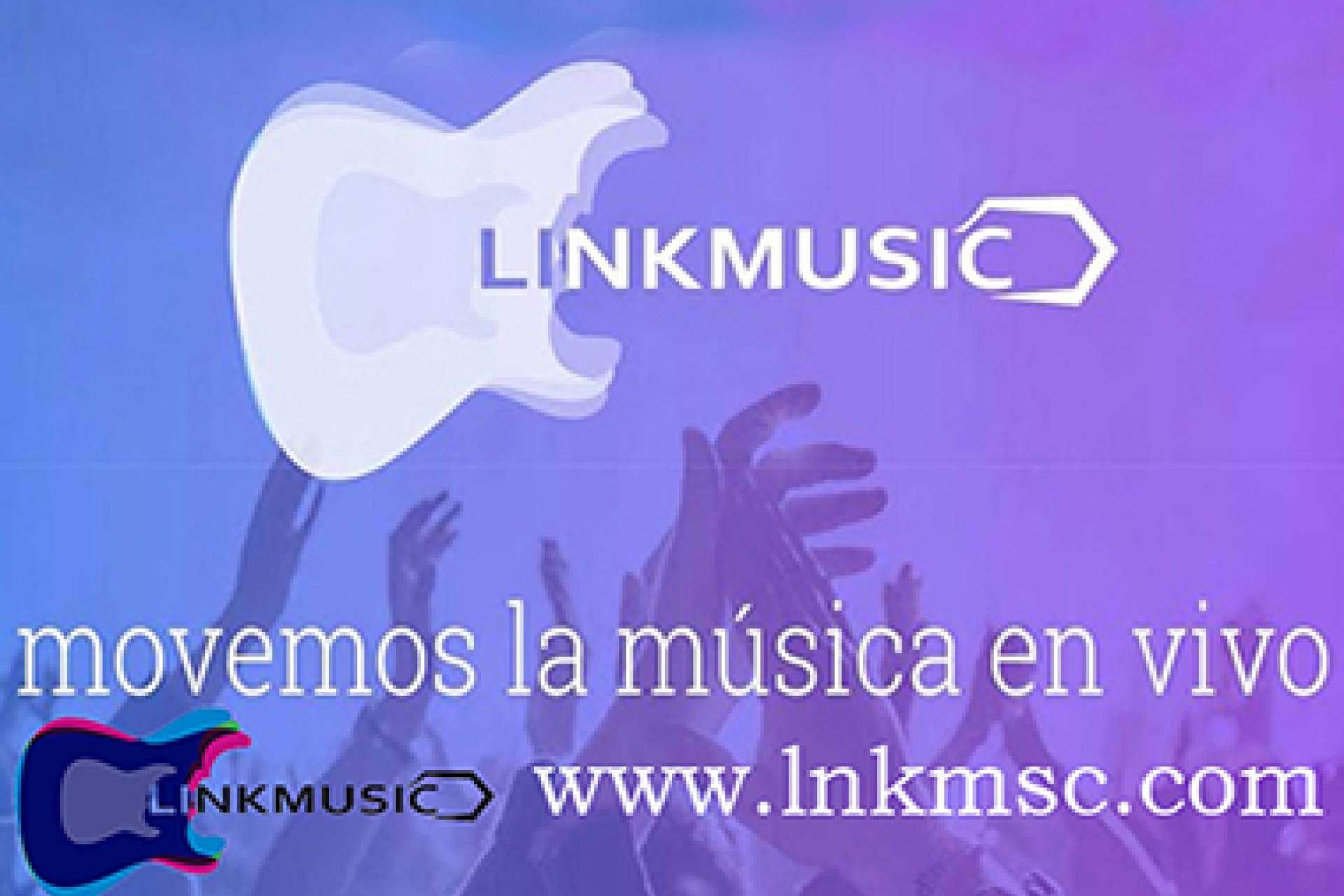 Información sobre el sistema de oportunidades de LinkMusic
