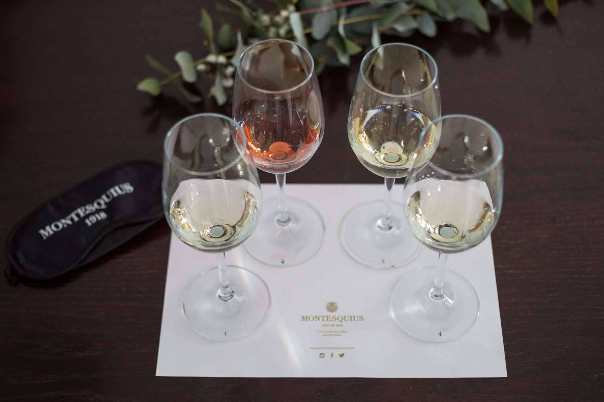 Catas a ciegas y tours privados en la capital del cava, Sant Sadurní d'Anoia
