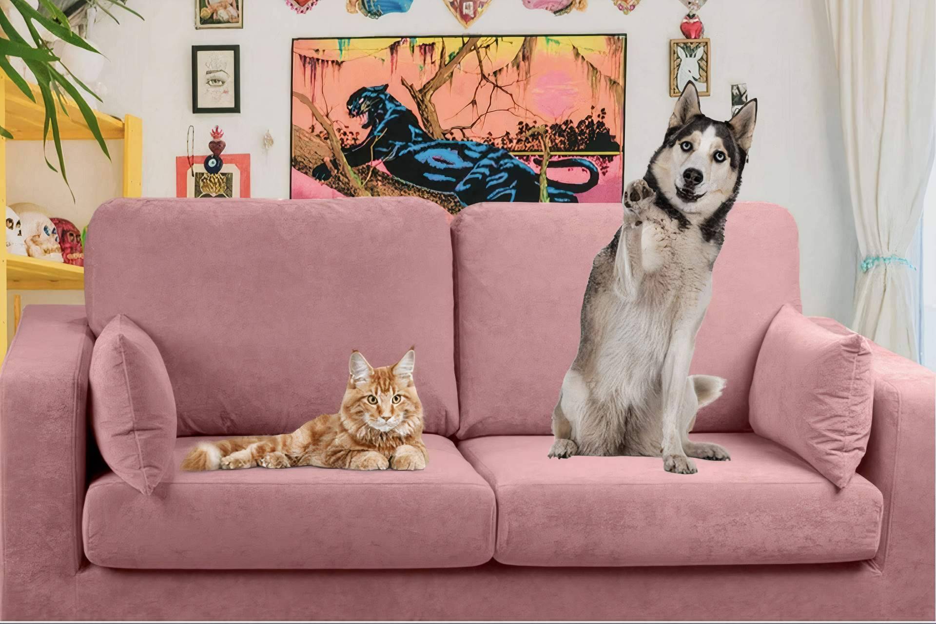 Compartir el sofá con las mascotas, las principales ventajas y desventajas de la mano de Sofás Animal Friendly