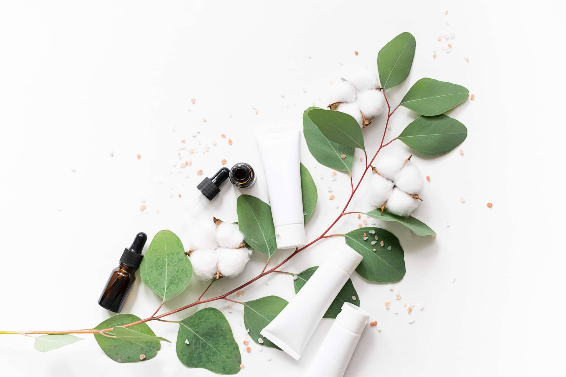 ¿Dónde encontrar cosmética ecológica online? Aynara Secret