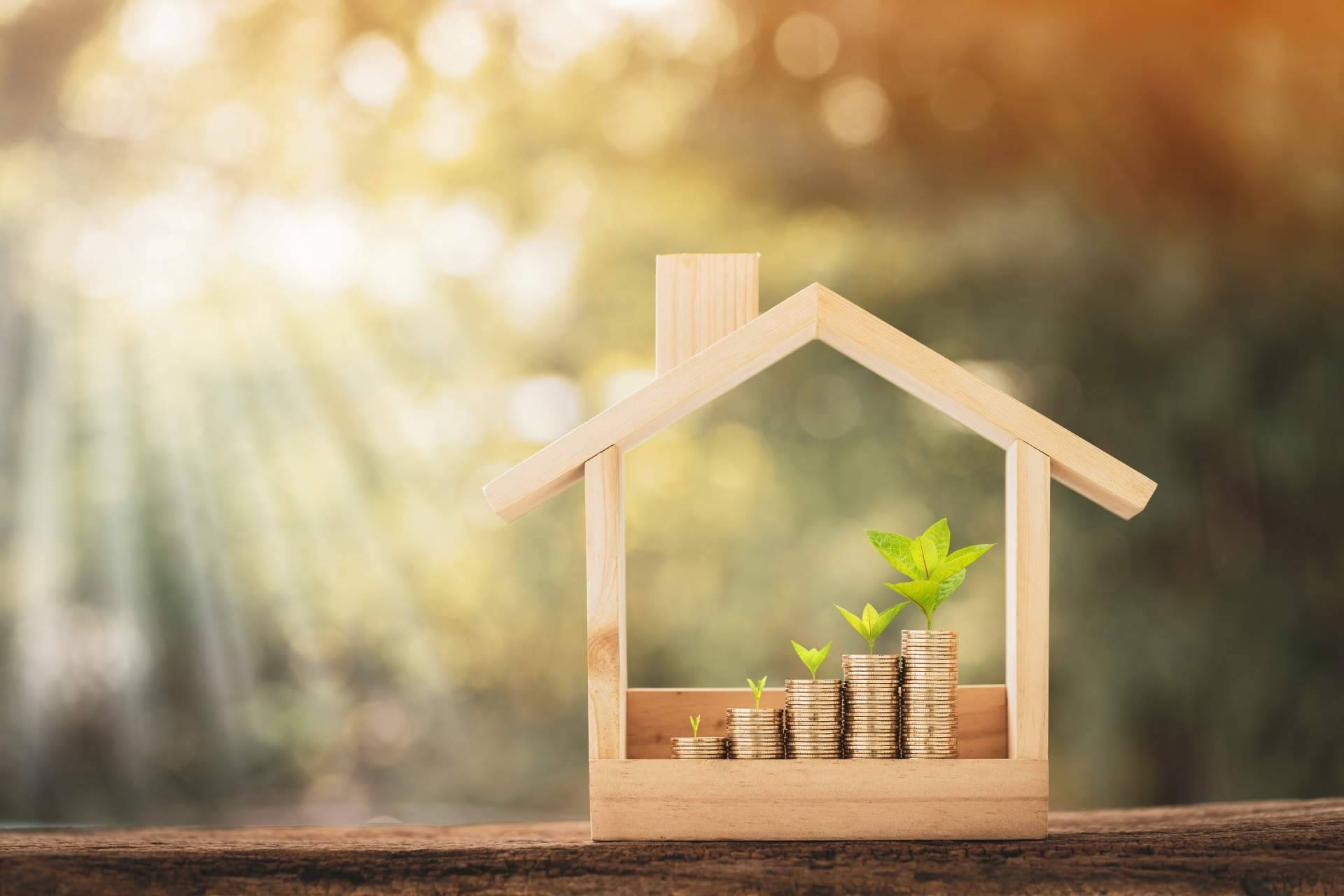 1001PORTALES.COM, la startup tecnológica de publicidad inmobiliaria