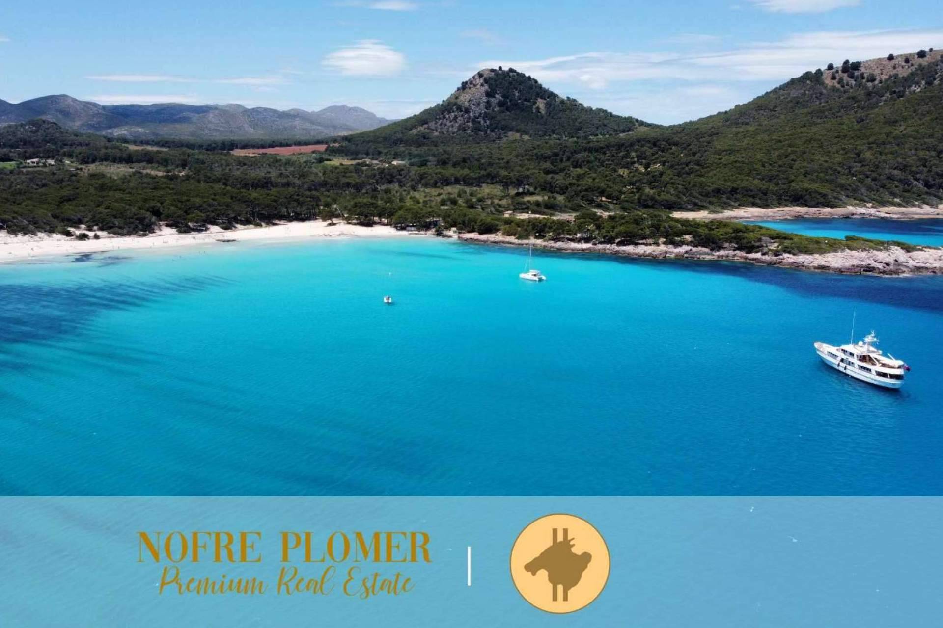 Venta de propiedades i inversiones inmobiliarias con criptomonedas, por Nofre Plomer Premium Real Estate