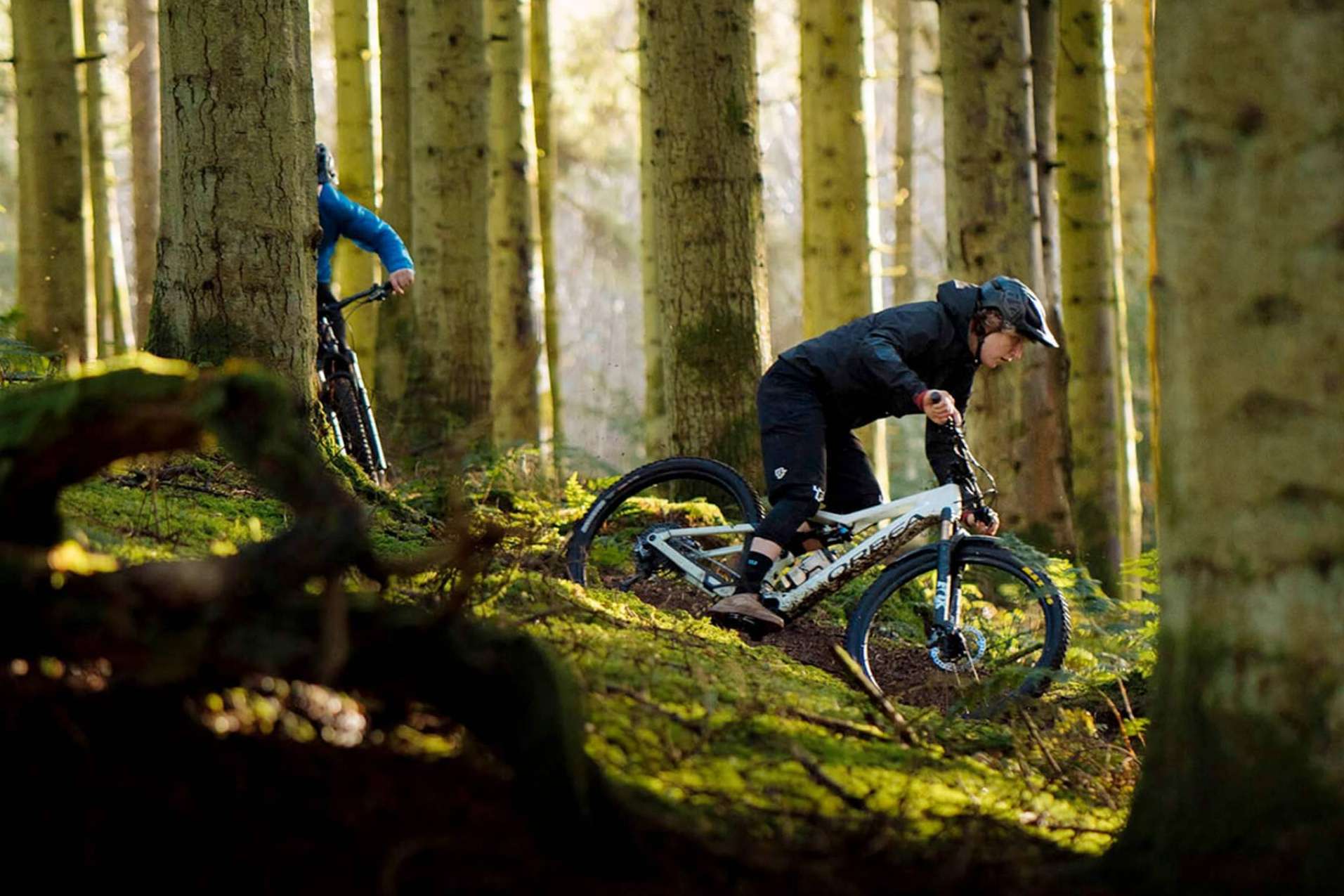 Los diferentes tipos de bicicletas eléctricas de montaña en Sanferbike