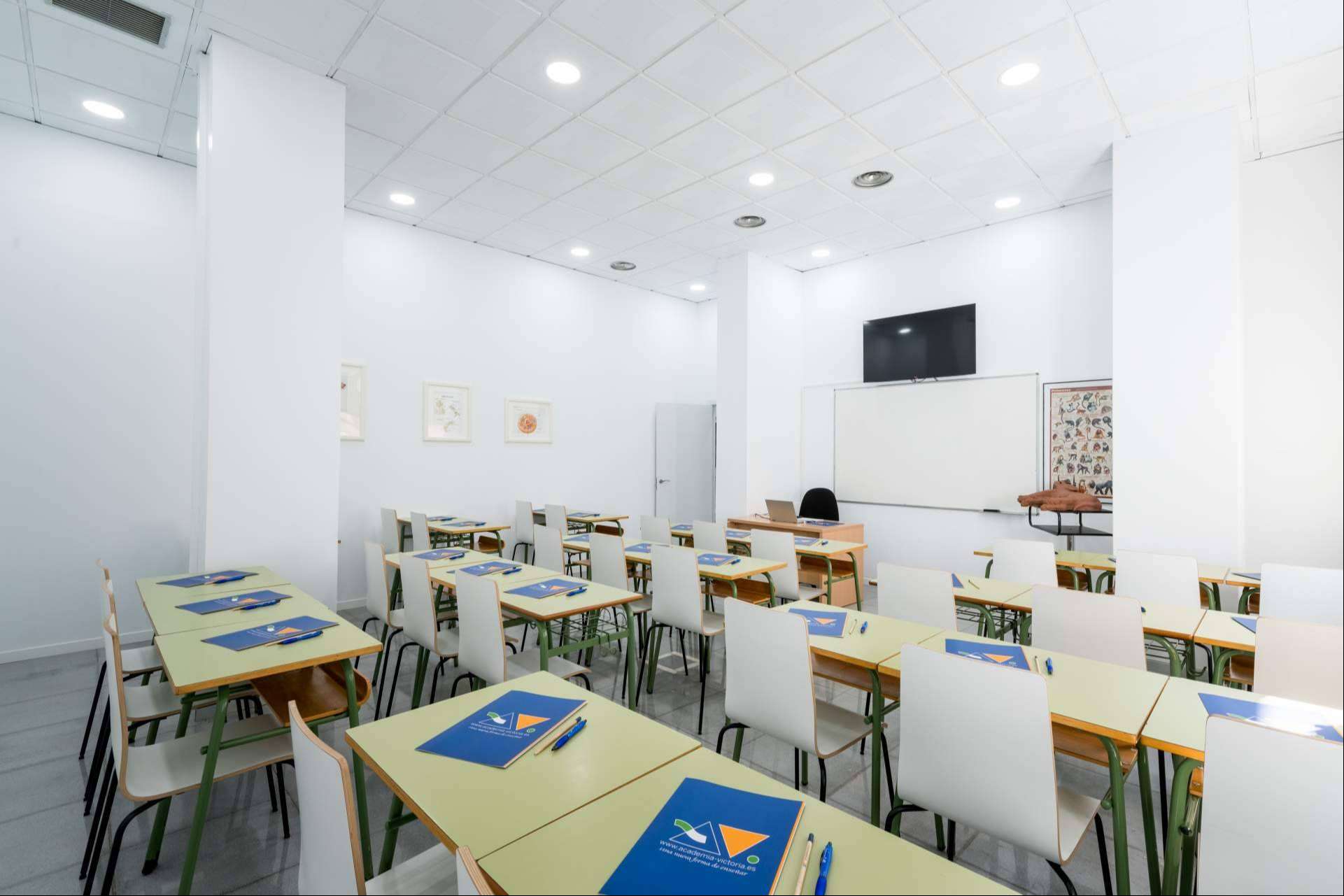 Formación de auxiliar de veterinaria, con Victoriaformación.es