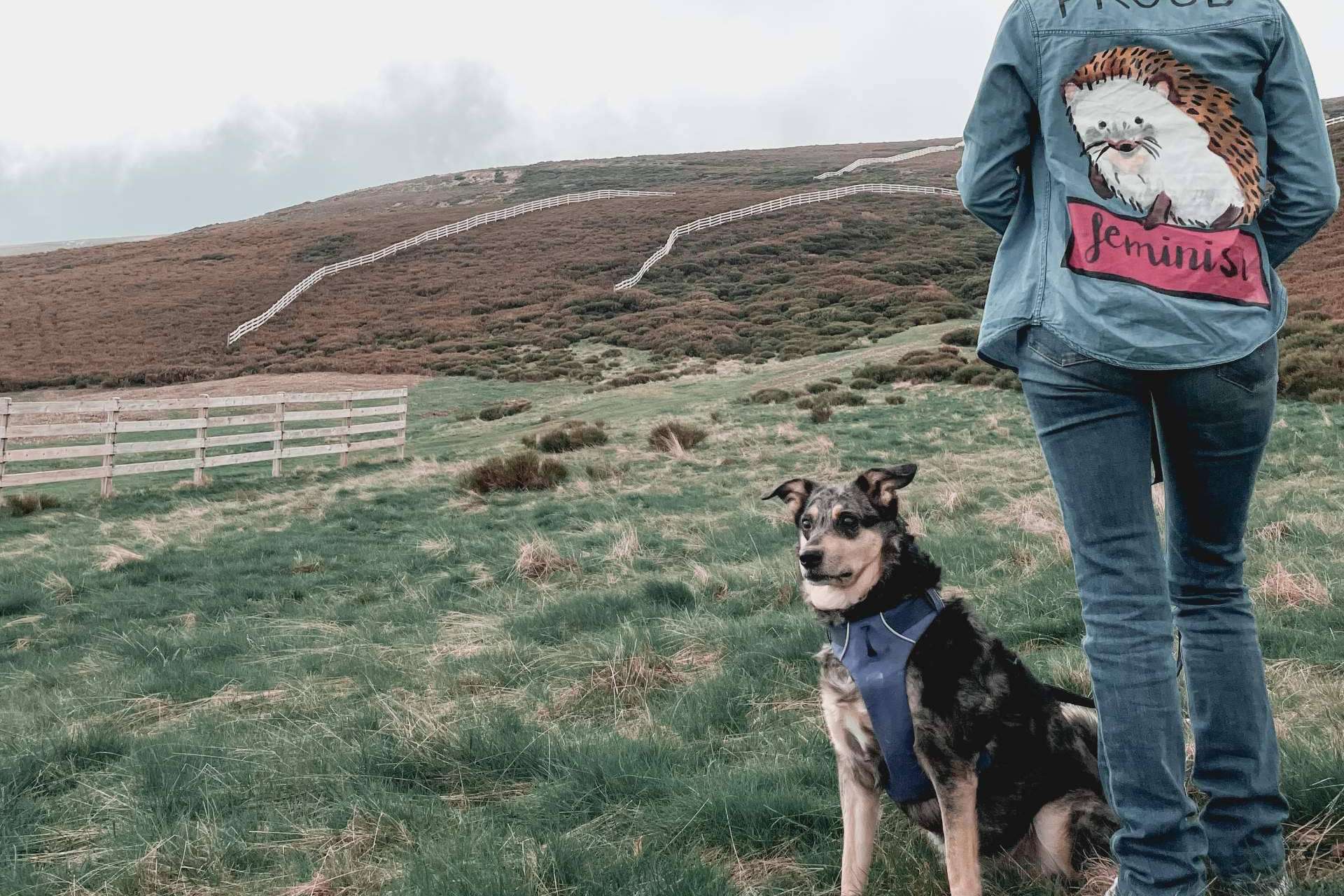 Emprendimiento femenino en el sector canino, por Ulises y Argos