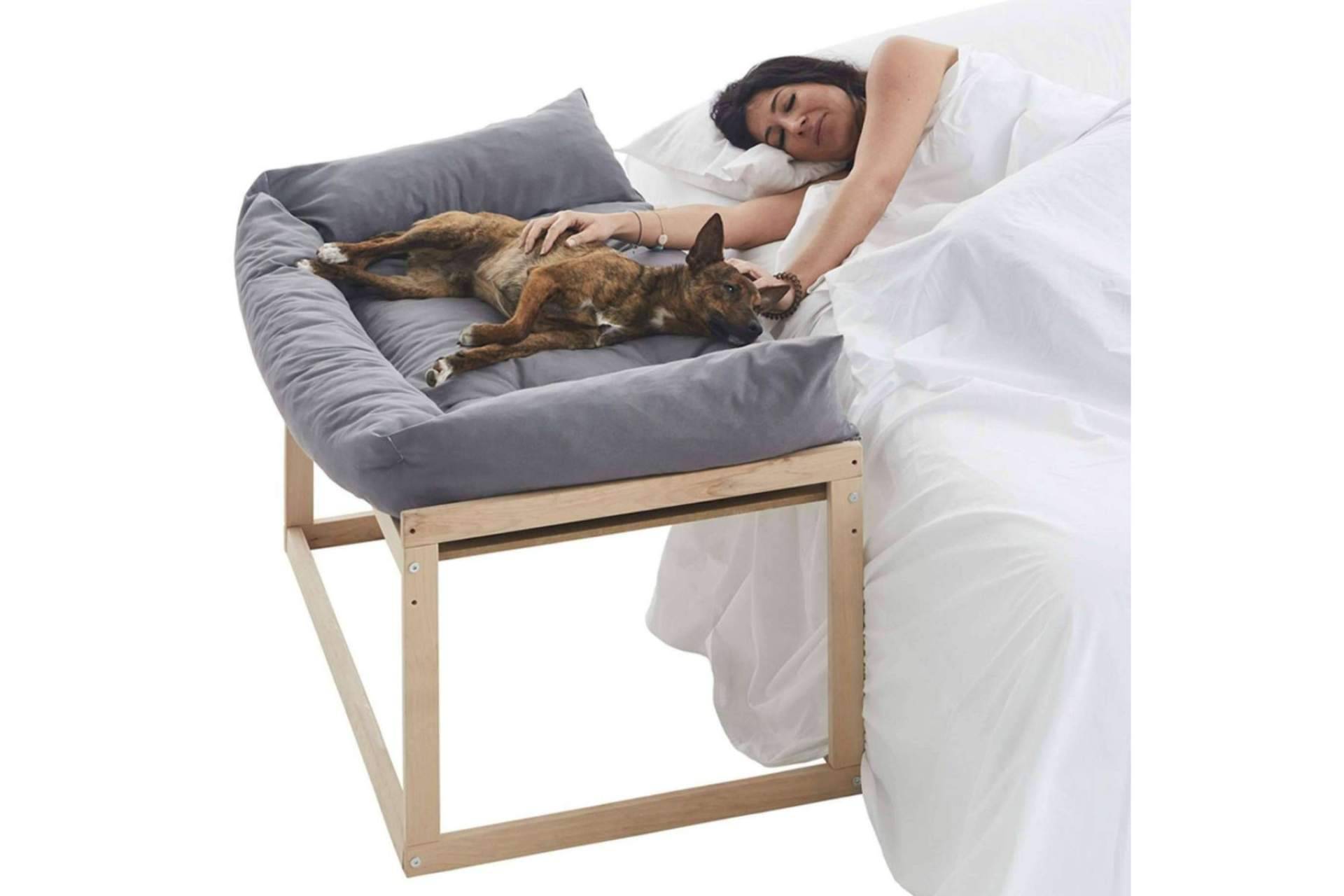Las camas colecho para perros de Cool-Dreams