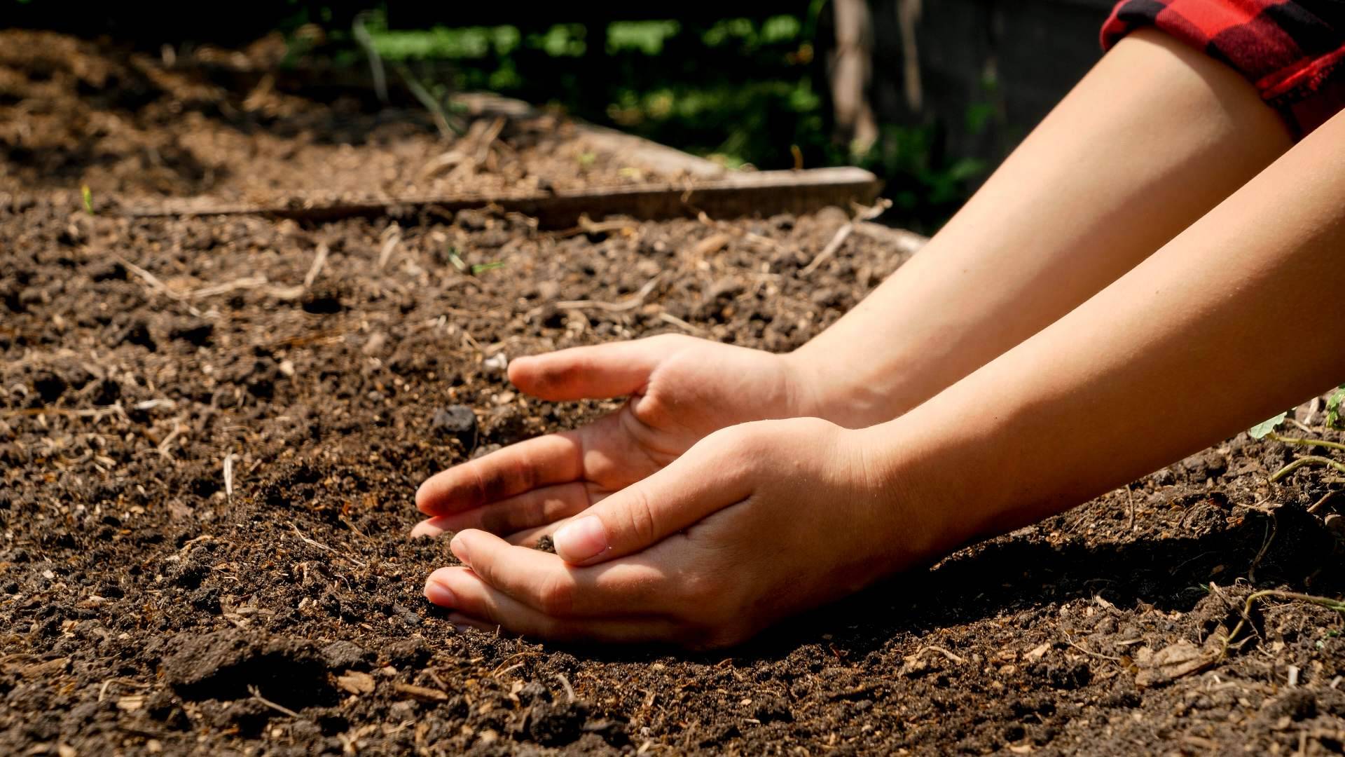 JP Tró Extract y sus suplementos alimenticios a base de plantas garantizan el cuidado del medioambiente