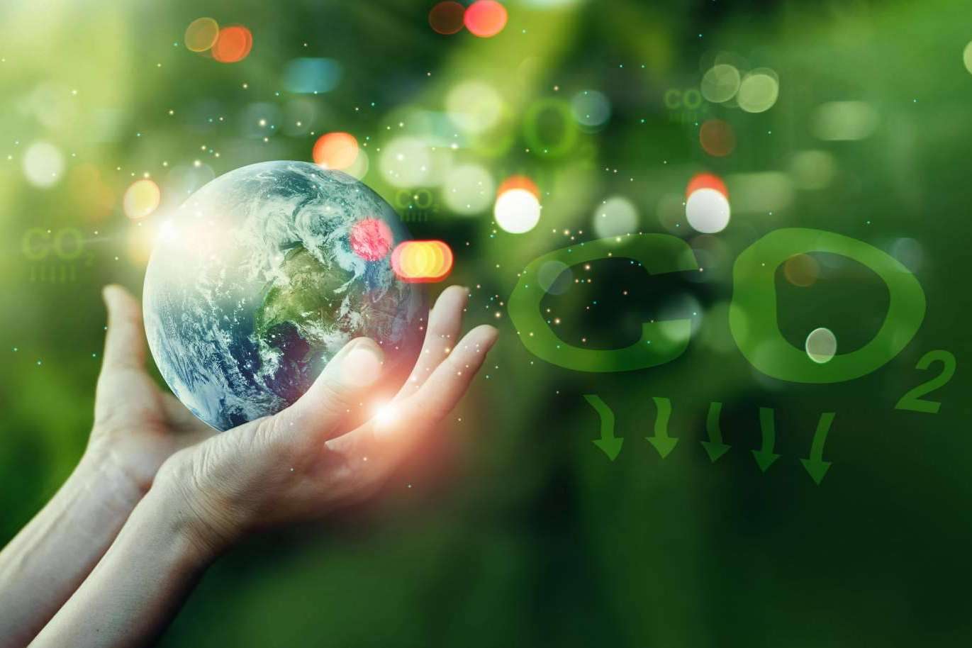 Compensar la huella de carbono con ClimateTrade