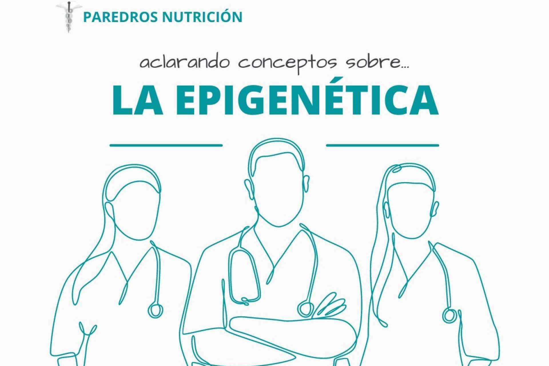 Paredros y sus planes de nutrición personalizados de la mano de la medicina integrativa