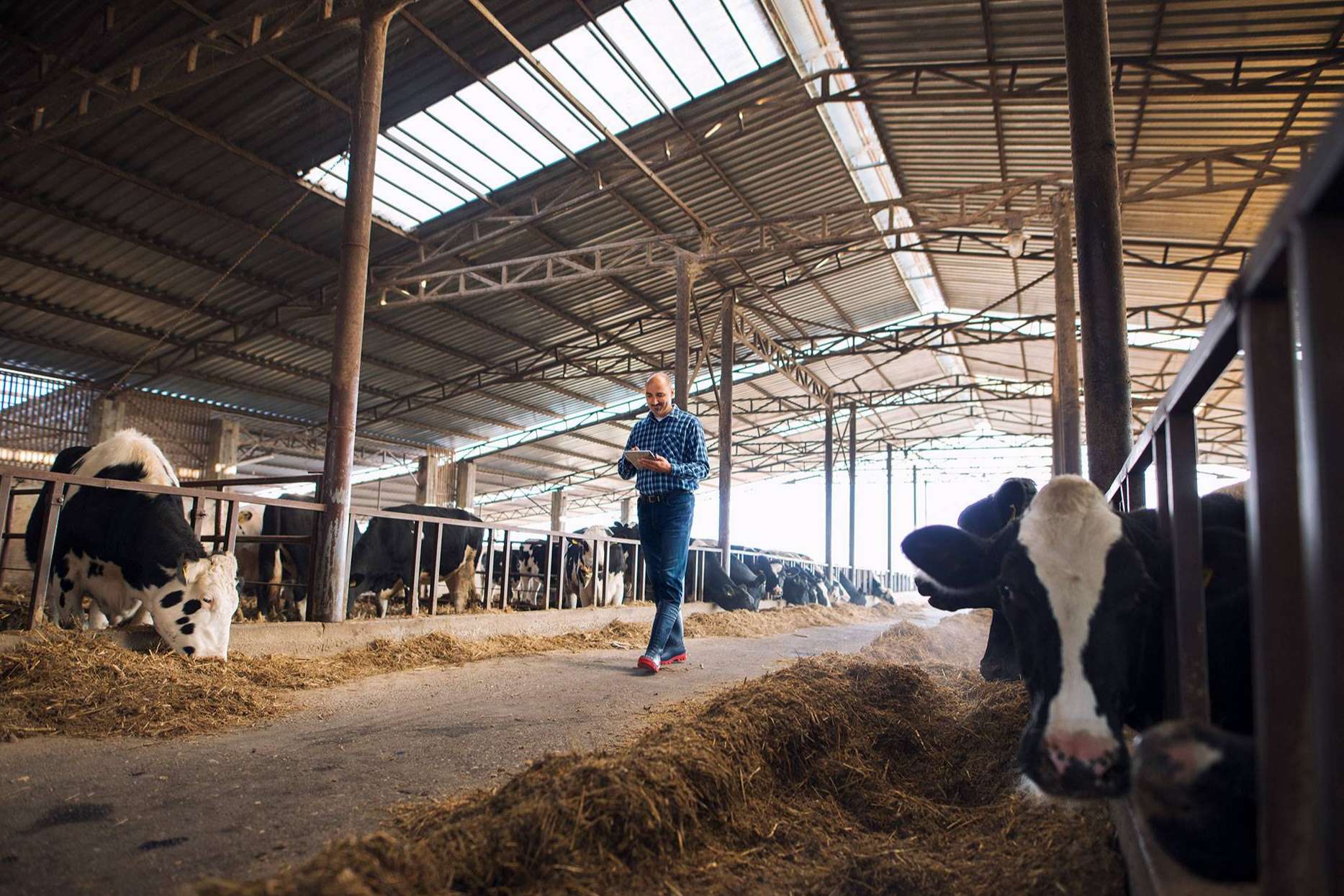 Un ERP Agropecuario para potenciar el sector agrícola, con Certitec