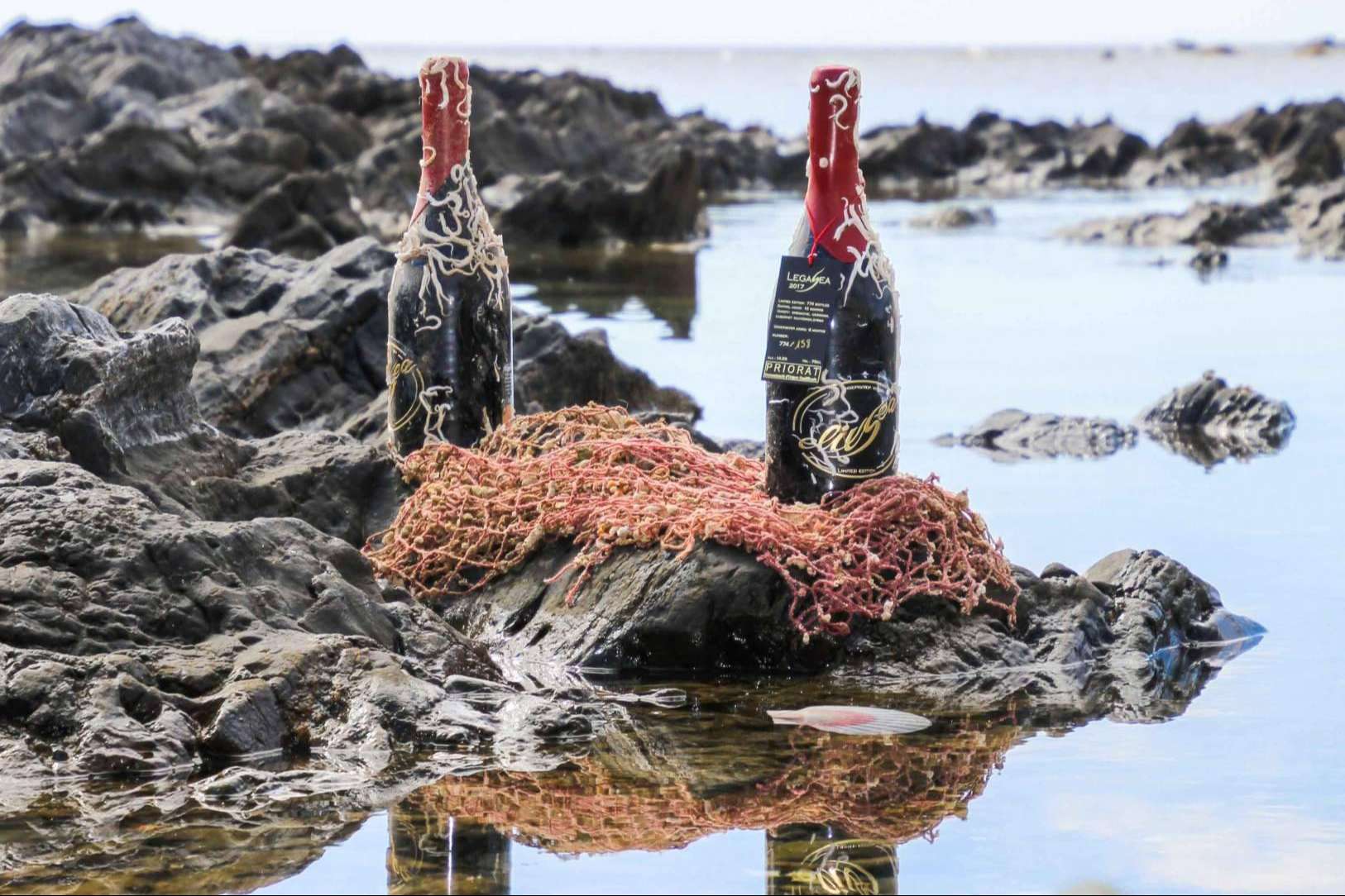 El poder de la enología marina para crear vinos únicos, con ElixSea