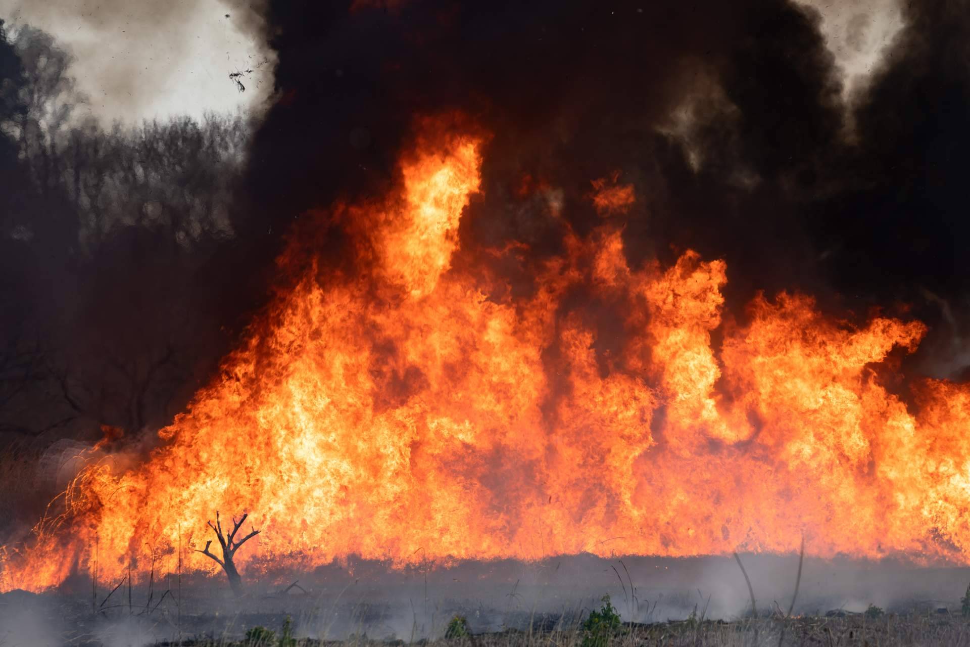 #SoydeMijas plantea como prevenir los incendios forestales en Mijas