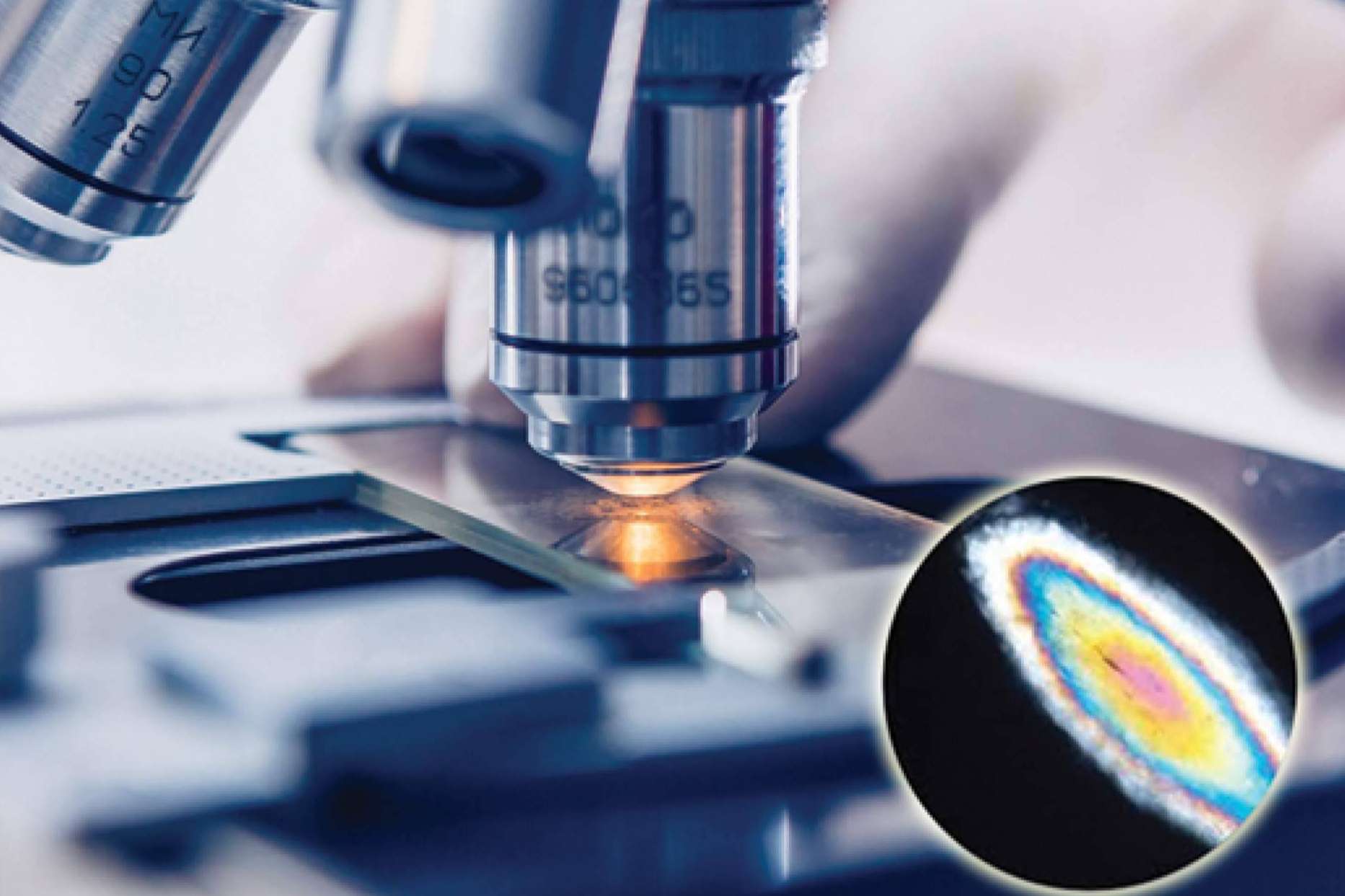La forma de saber si se tienen metales tóxicos en el organismo, por Tequial