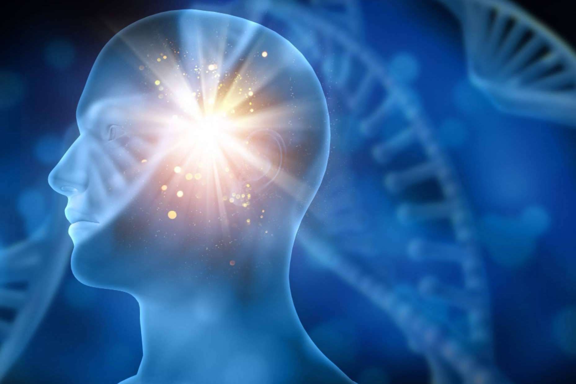 Las claves de la neurorrehabilitación, por el equipo de INIMA Rehabilitación