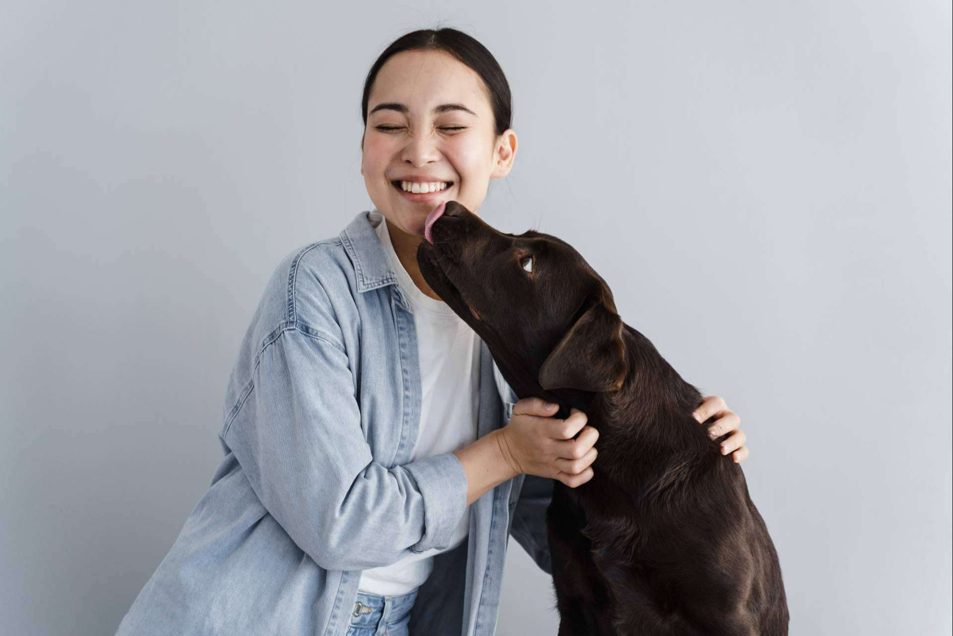 Los seguros de mascotas para perros y gatos de Barkibu