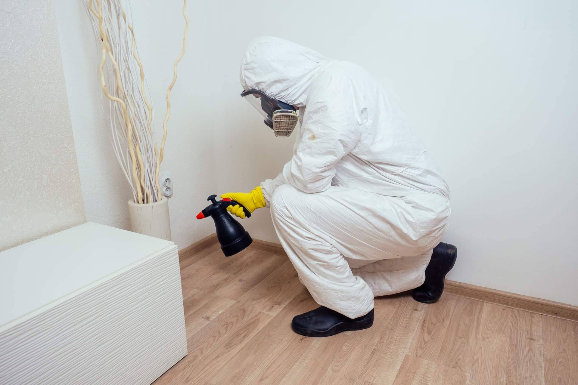 American Pest Control, la compañía de control de plagas de Madrid