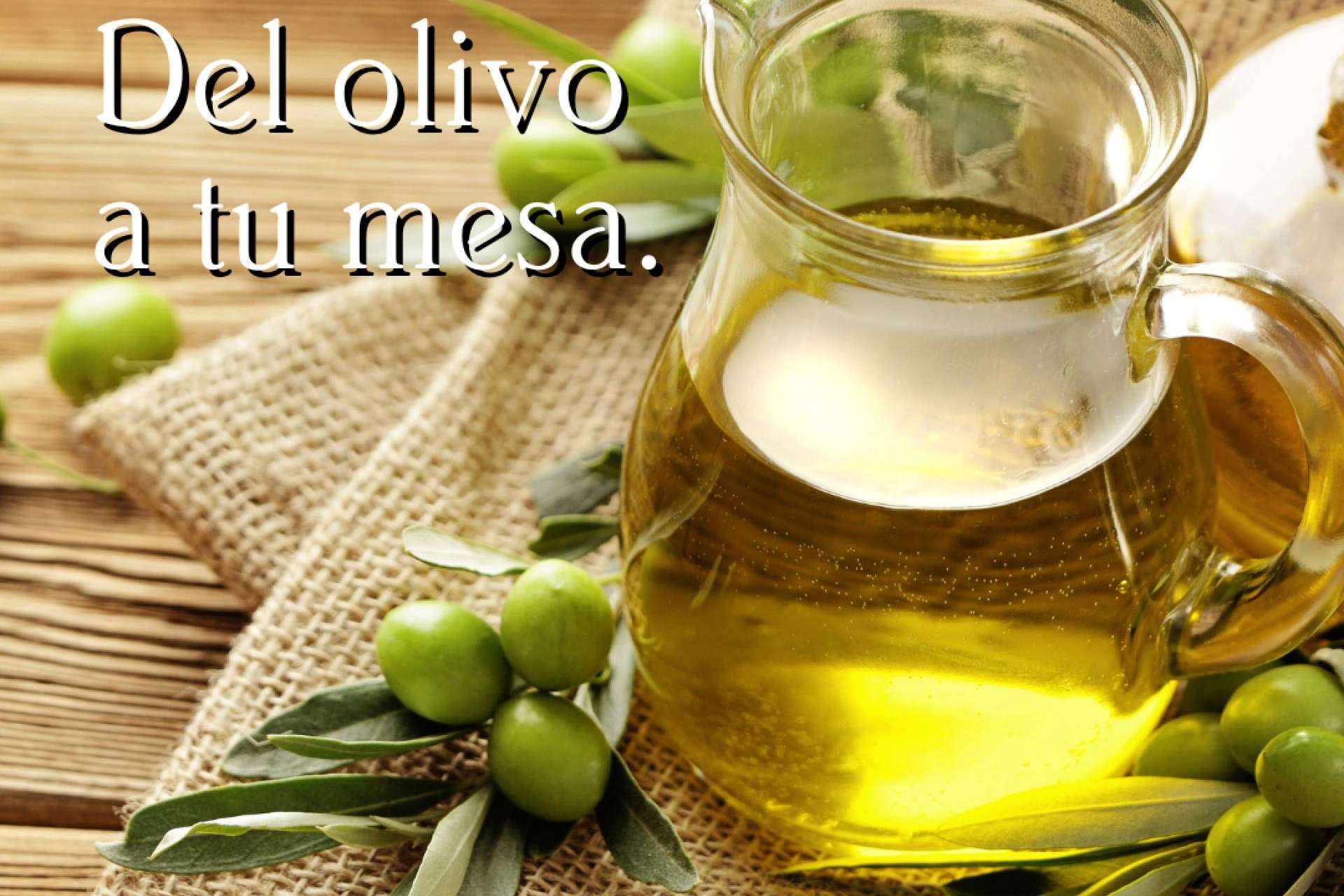 El aceite de Oliva Virgen Extra de Olipaterna y sus propiedades