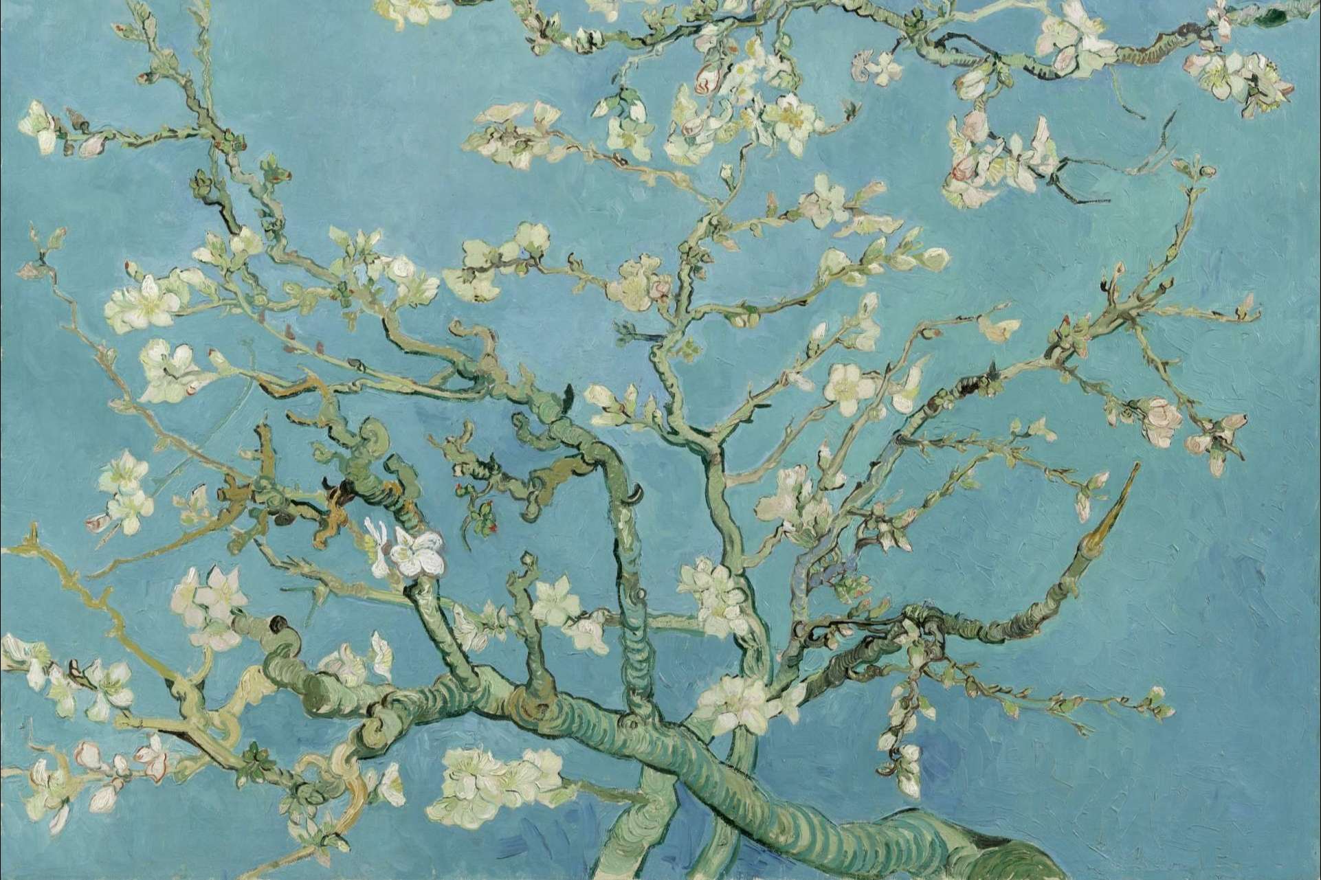 Pintar por números La Noche Estrellada de Vincent Van Gogh, gracias a Canvas by Numbers
