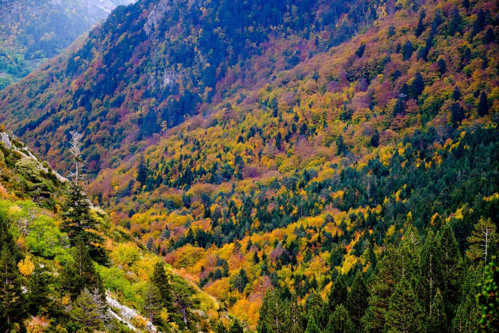 Camping Repòs del Pedraforca para pasar el otoño