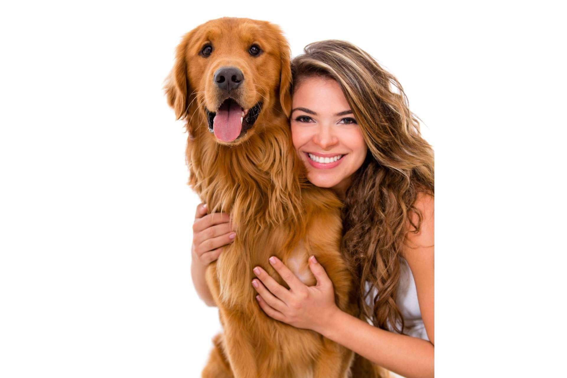 ¿Cuándo es buen momento para adoptar un perro?