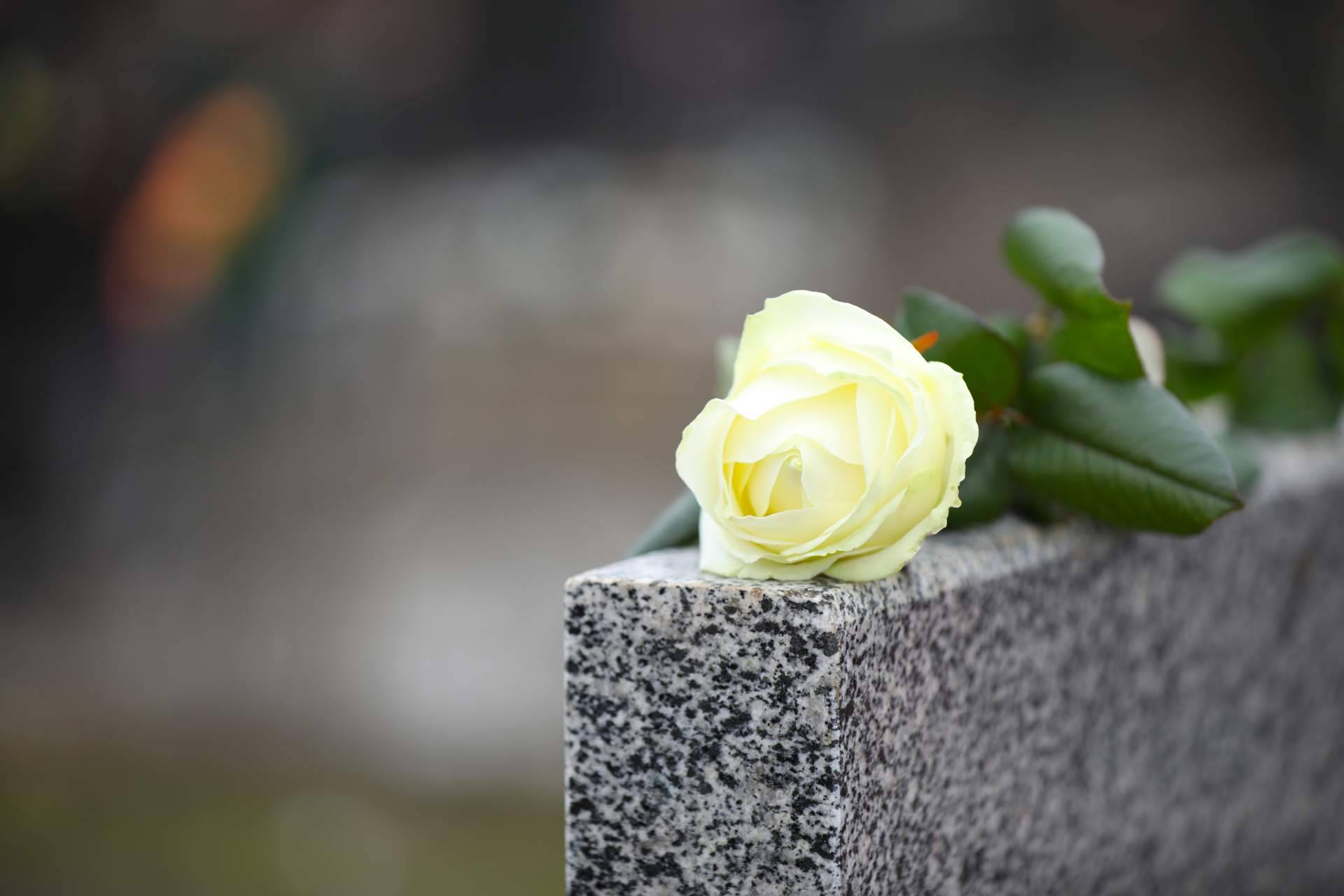En el Día de Todos los Santos, el interés por las flores para el cementerio crece en un 800 %