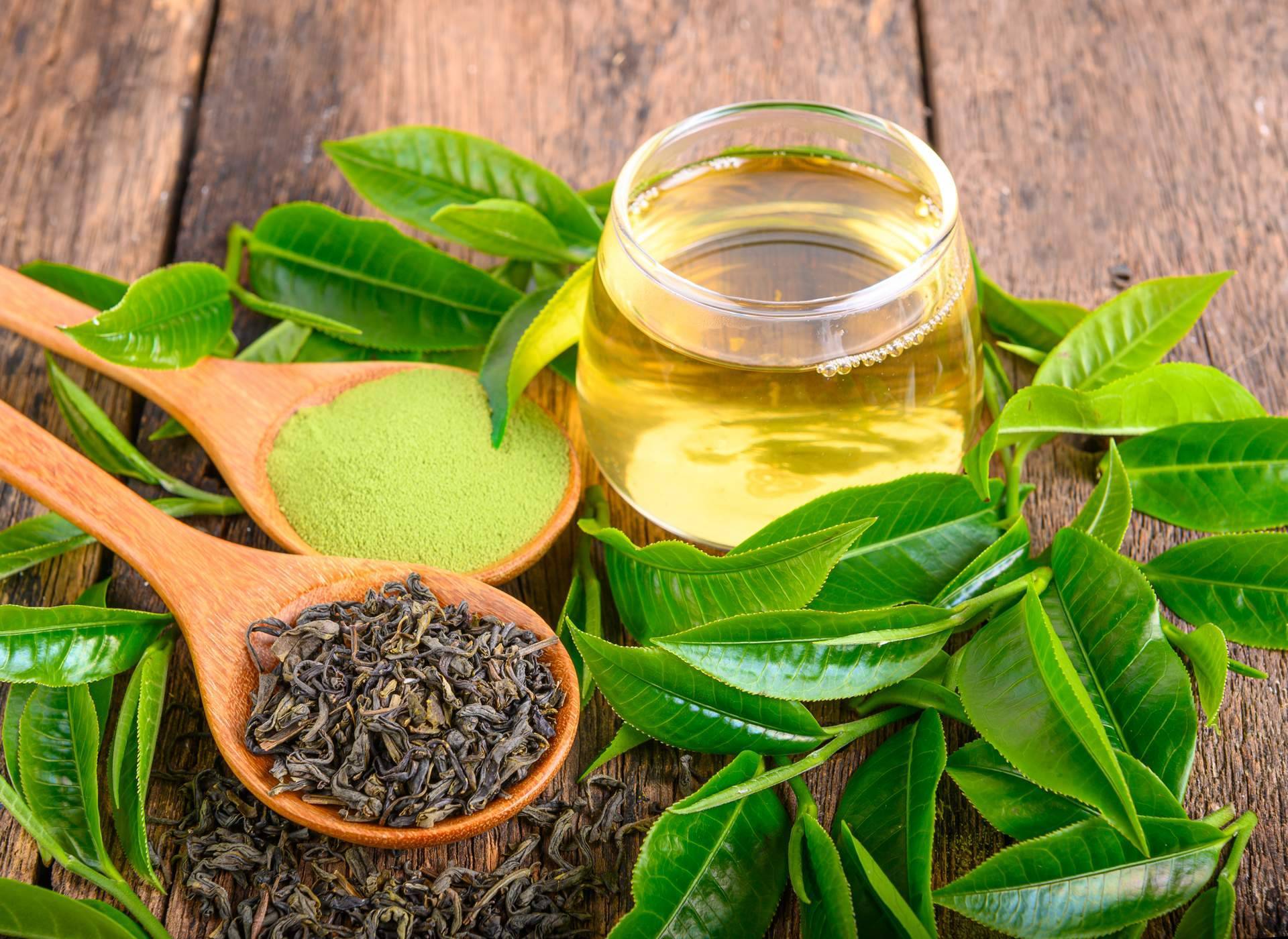 ¿Cuáles son las propiedades del té con ganoderma?, Reishi Gano Té DXN