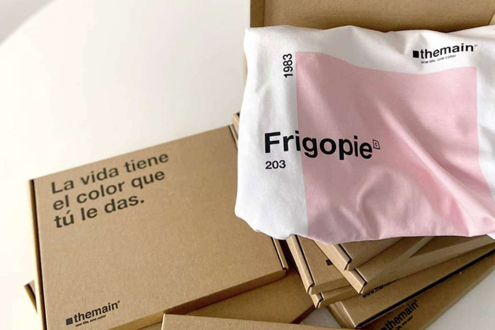 La solución para hacer un regalo de navidad original, con Themain