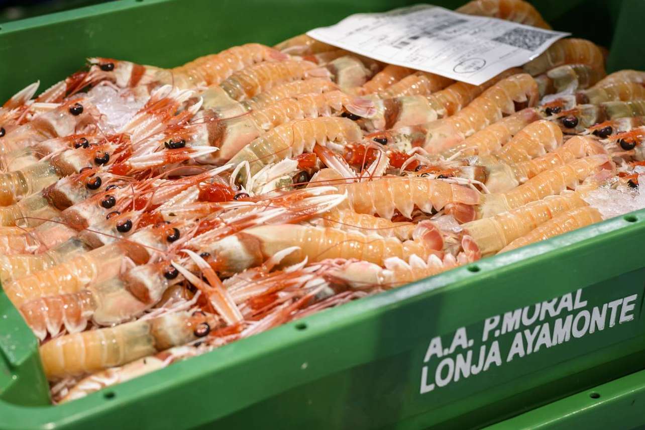 Comprar marisco para Navidad, las ventajas de comprarlo con anticipación a las fechas claves