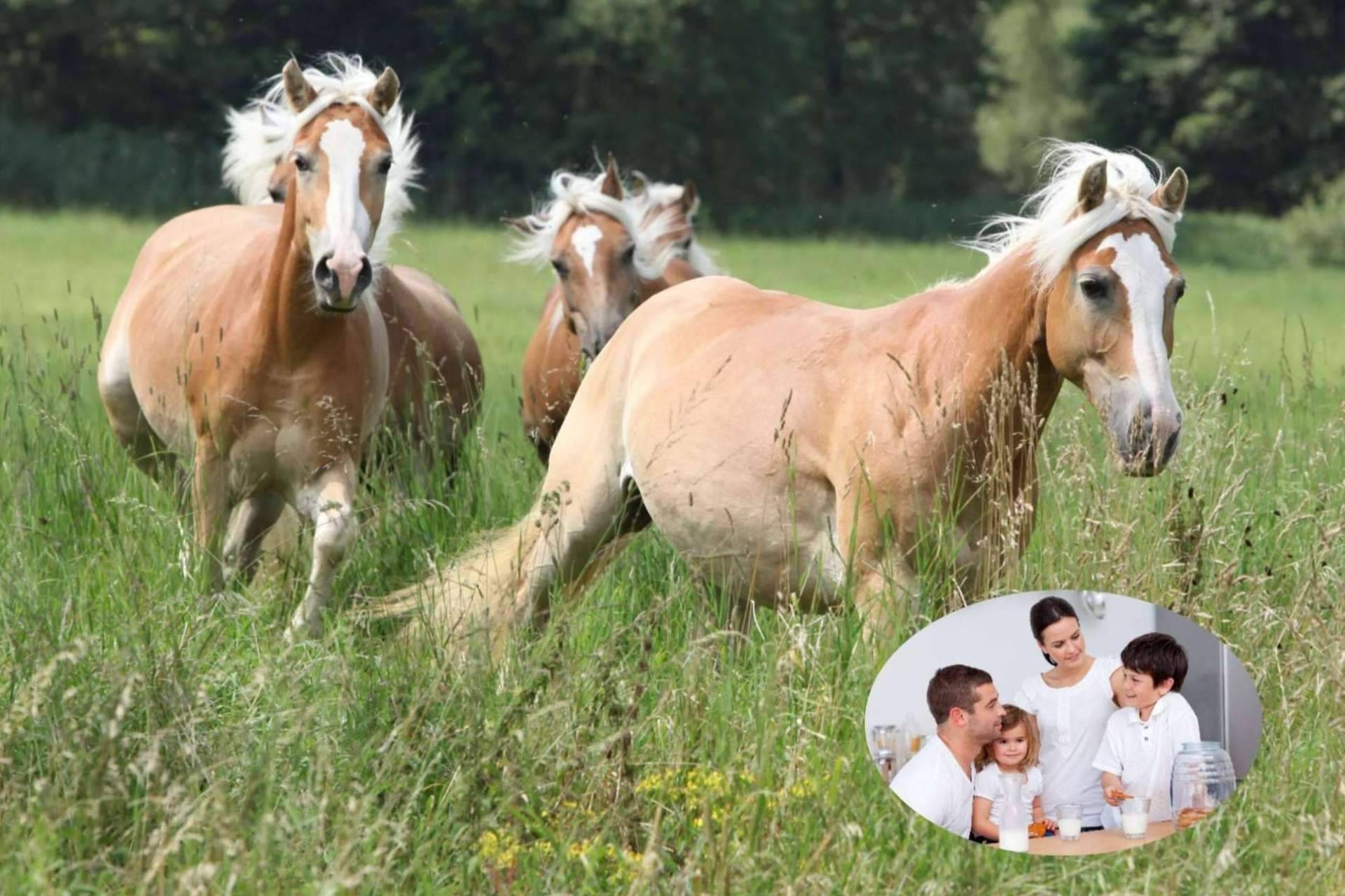 eQuaid Research ofrece el producto capaz de equilibrar las carencias del organismo