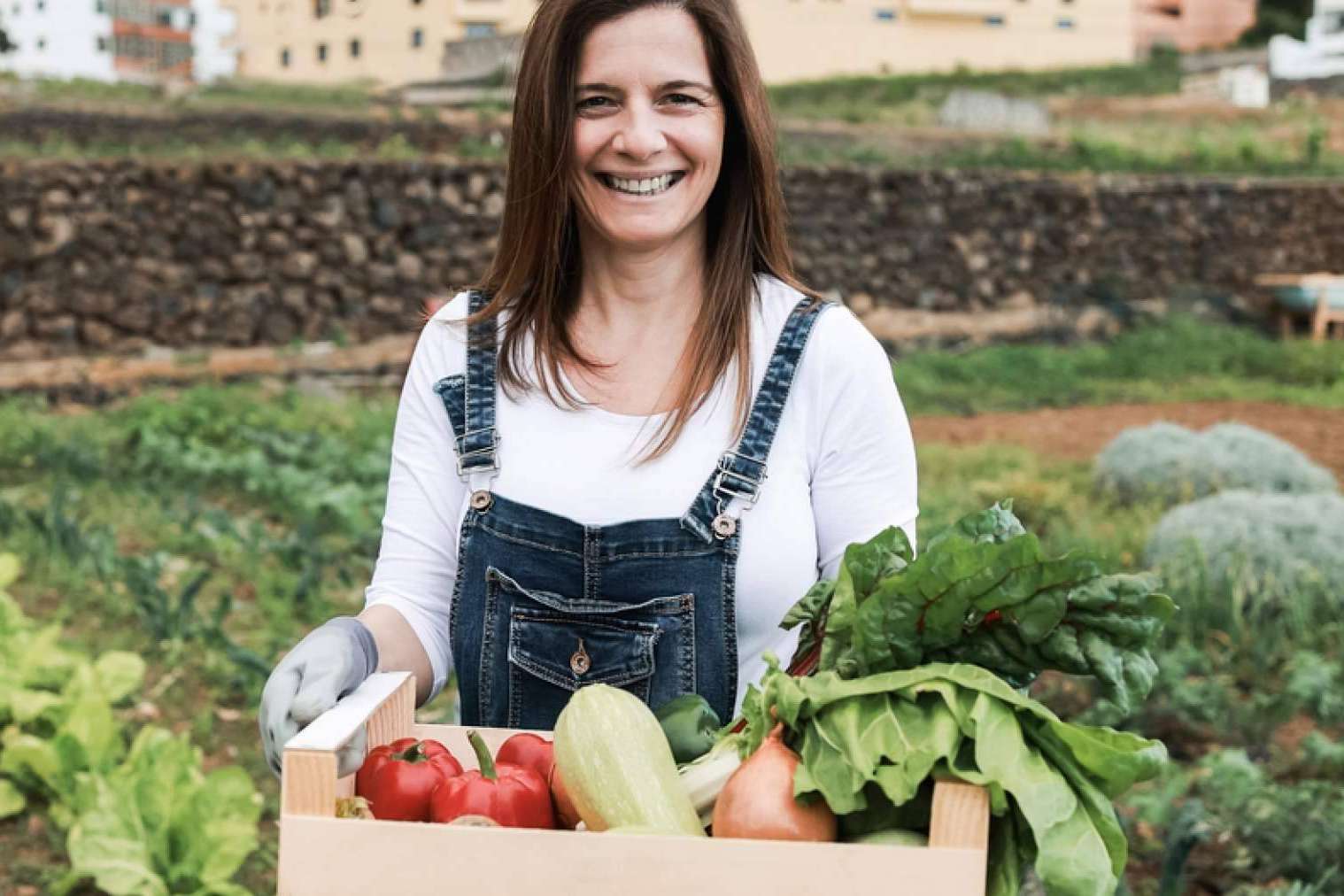 Saboranaranjas.com sobre la importancia de la agricultura sostenible