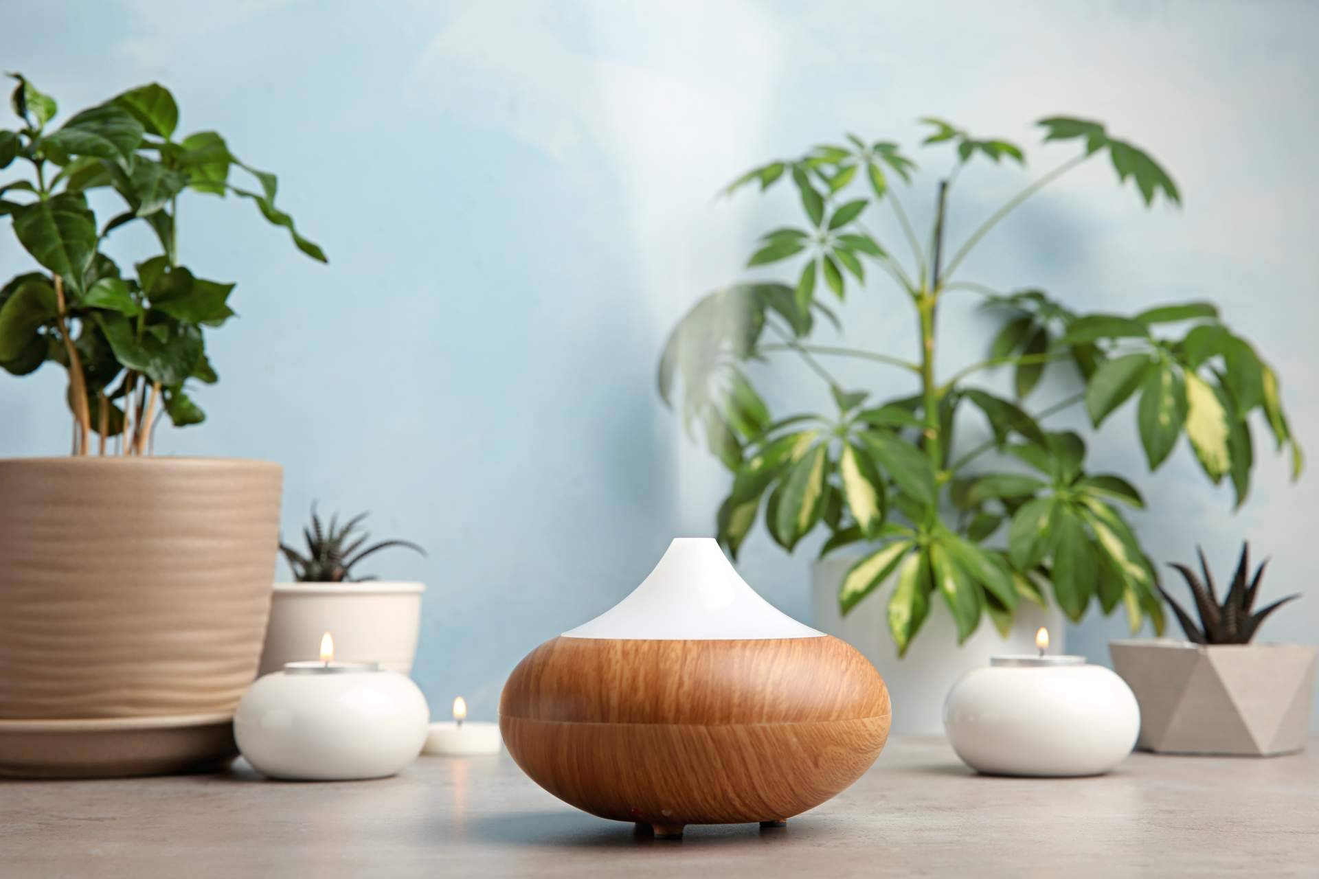 Hogar Climatizado, las ventajas de utilizar humidificadores en casa