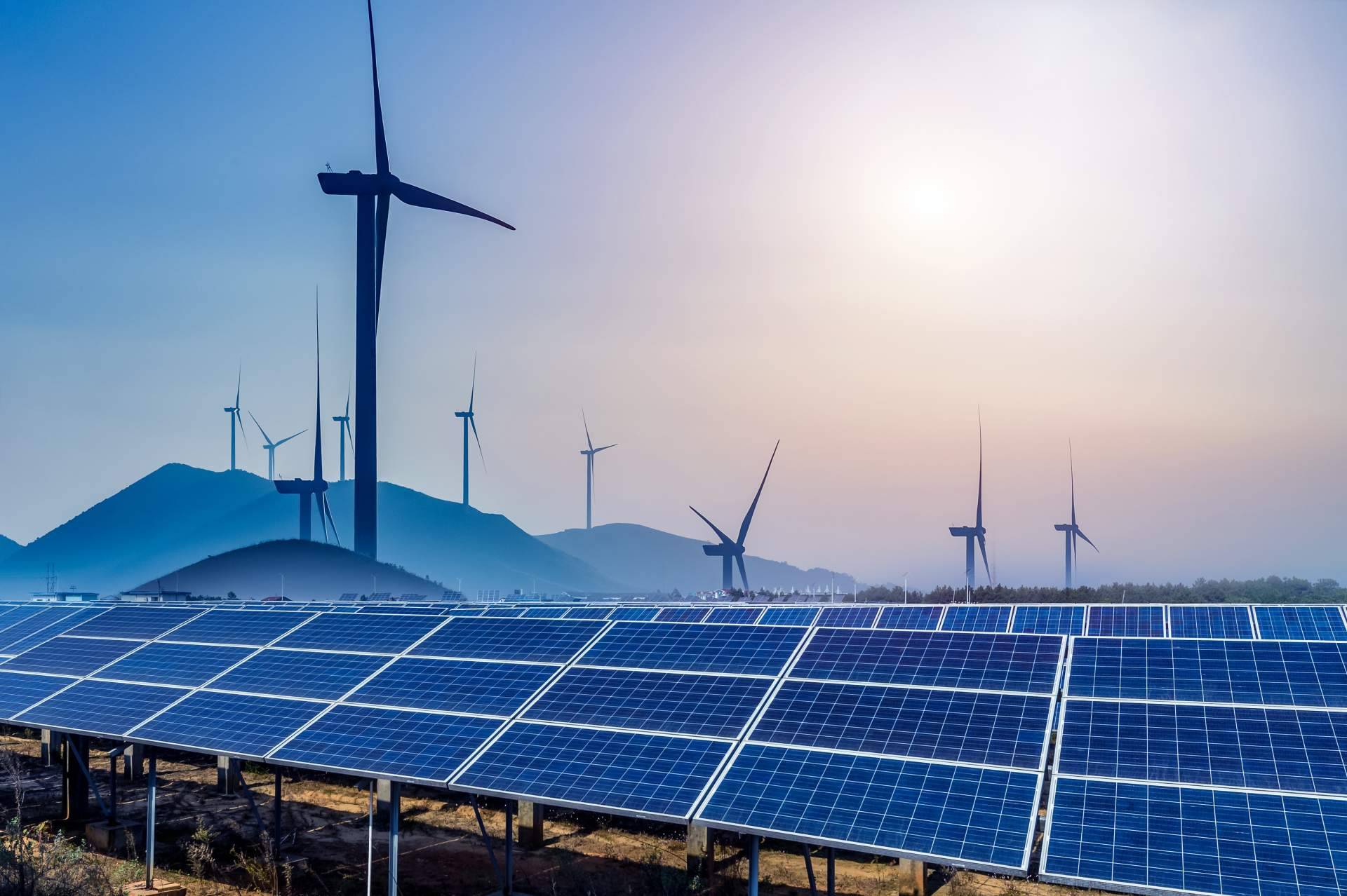 Consorcio Europeo de Avales explica la importancia de los seguros de caución para las empresas de energías renovables de hoy