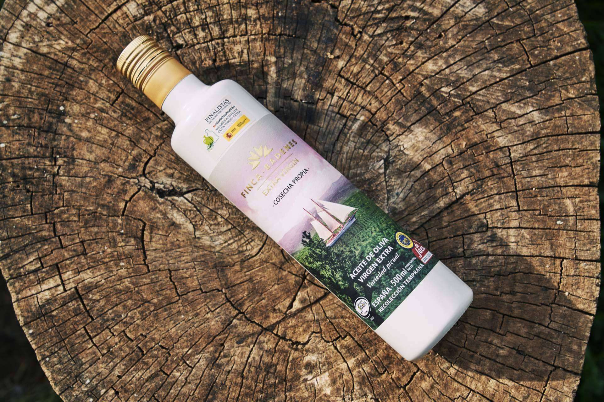 Los AOVE tempranos ya están aquí, la nueva temporada de los aceites de oliva de la mano de Aires de Jaén