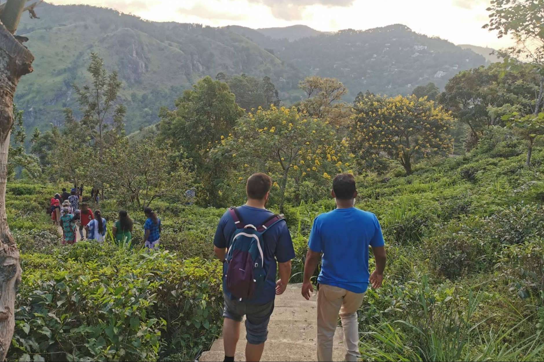 La agencia de viajes local en Sri Lanka que organiza viajes a medida para los turistas que desean visitar la isla, Sri Lanka Viajes Edén