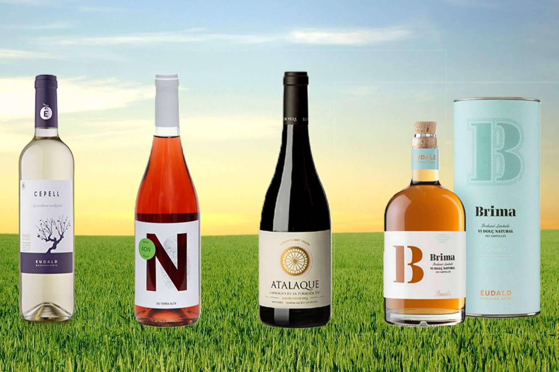 Calidad y proximidad en la selección de vinos Caldeu