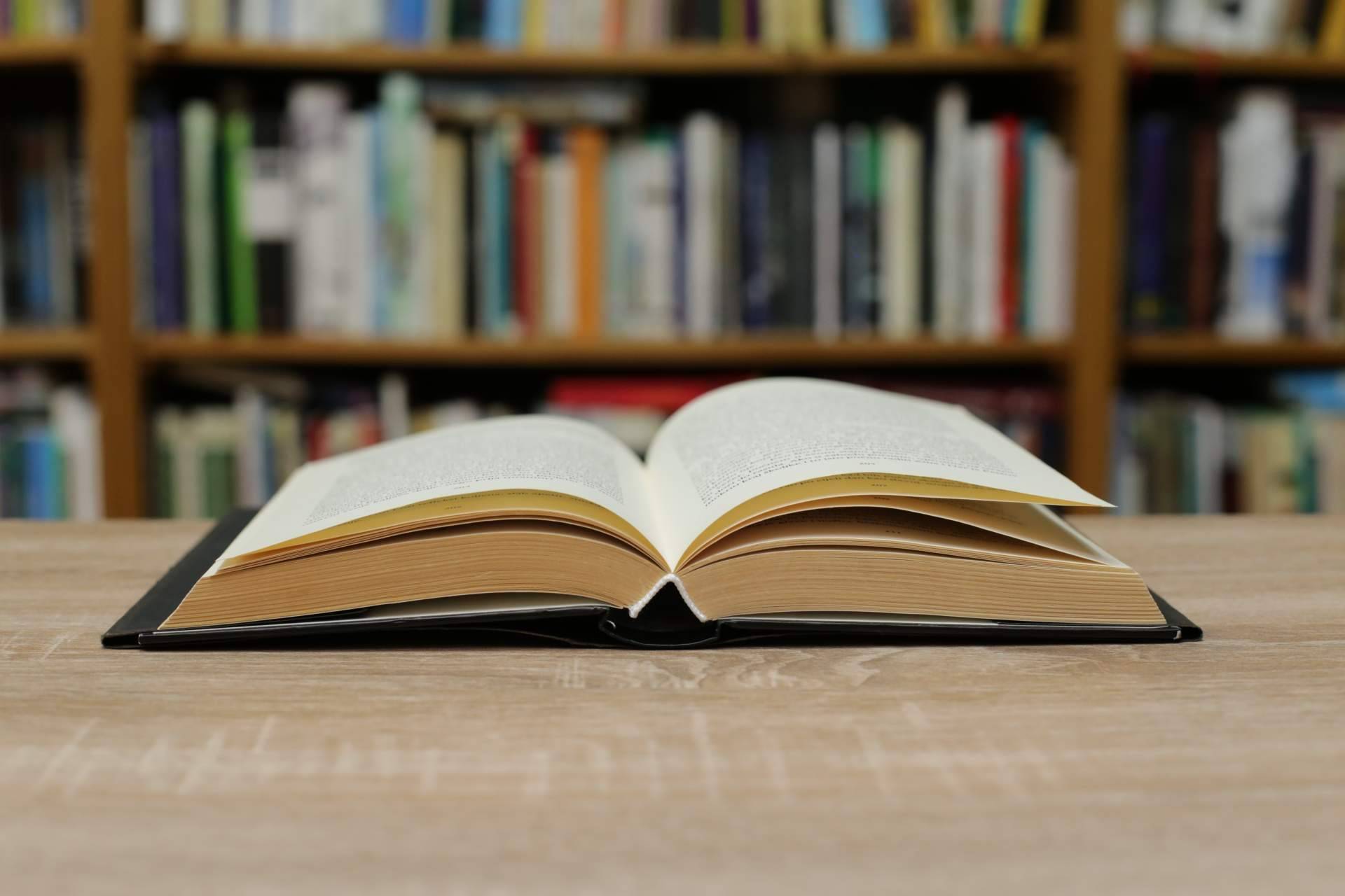 El éxito de los nuevos lanzamientos del 2022 de Editorial Pluma