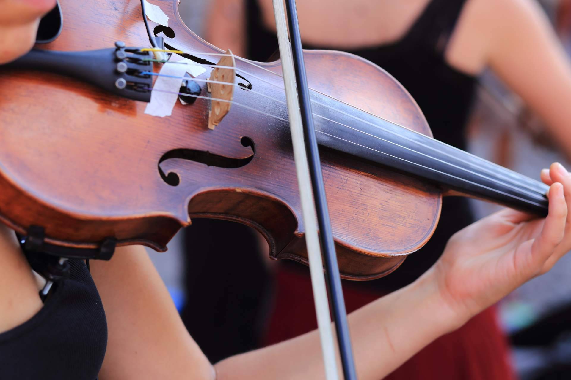 Clases de violín online adaptadas a los gustos y nivel del estudiante con Erizo