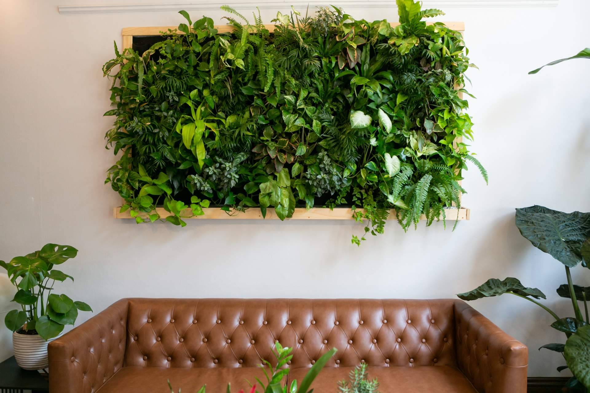 ¿Por qué escoger un jardín vertical artificial?, la última tendencia por JardínVertical.es
