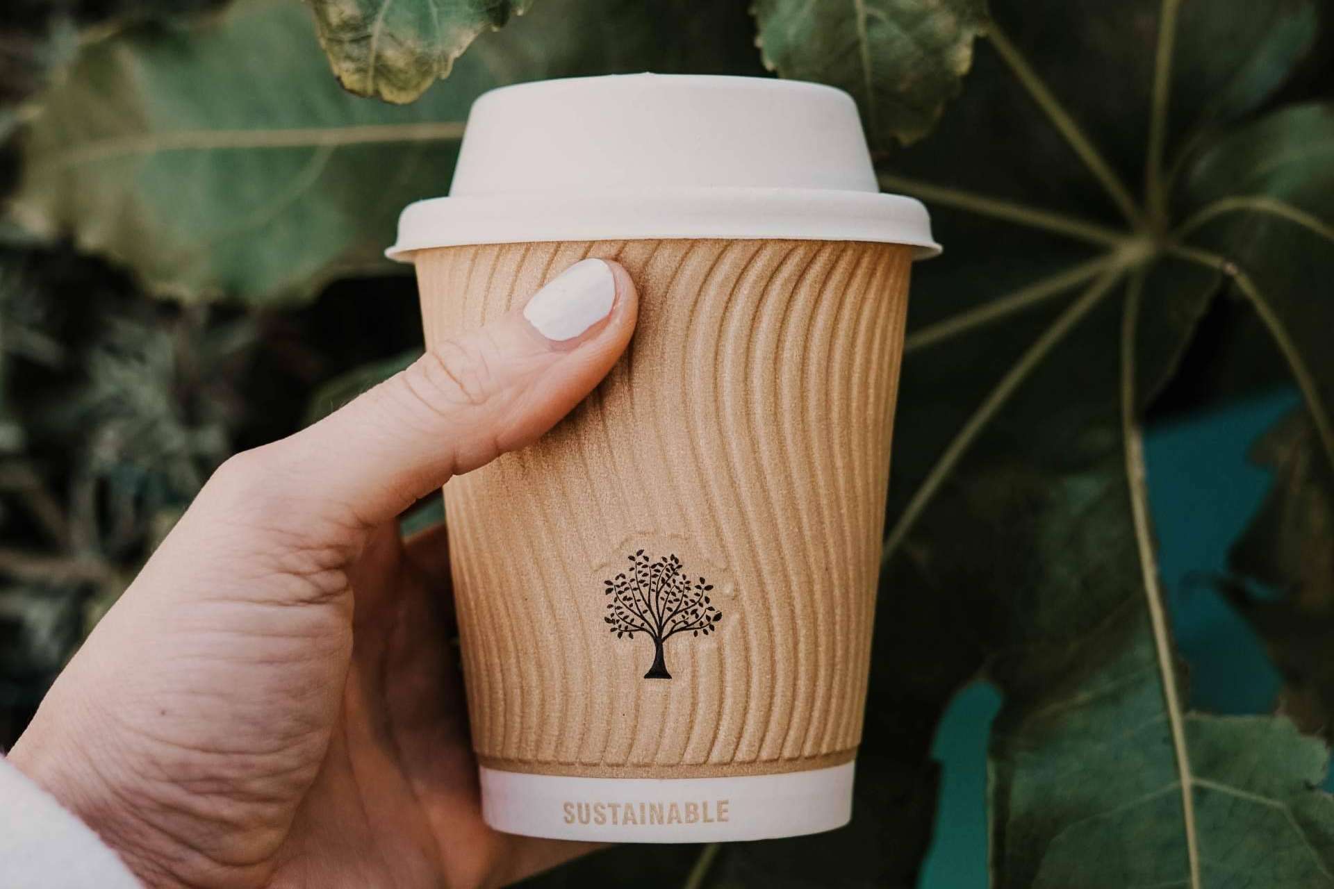 Tomarse un respiro con los vasos de cartón para café de la empresa Punto Qpack