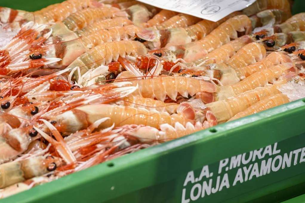 Lonja de Ayamonte explica los principales beneficios de consumir cigalas