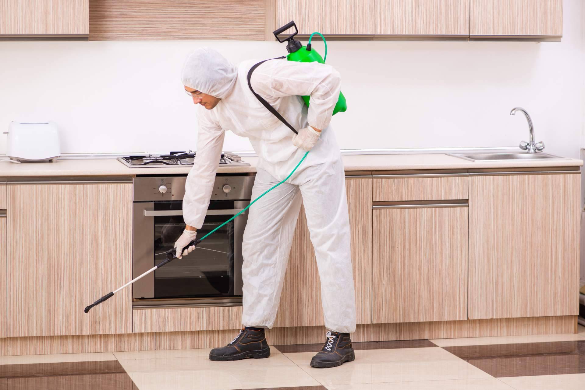 Control de plagas con los servicios ofrecidos por Laboratorios Astursa