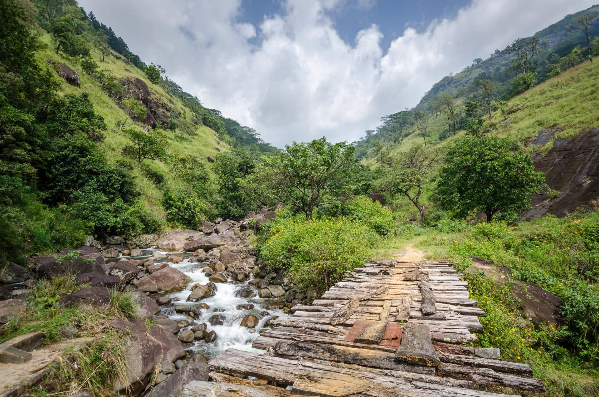 Viajes Edén es una agencia especializada en viajes a Sri Lanka que recomienda visitar Knuckles
