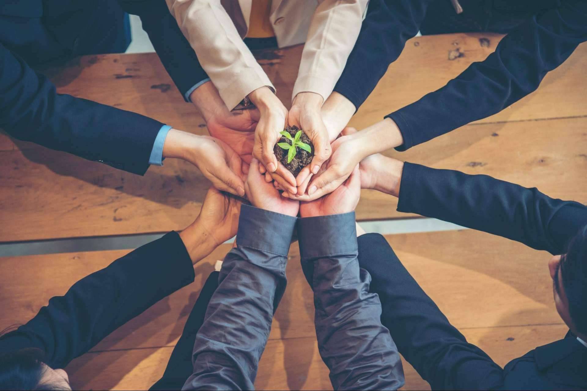 Tarjetas digitales de networking, la solución de Bhybrid para la transformación digital sostenible de las empresas