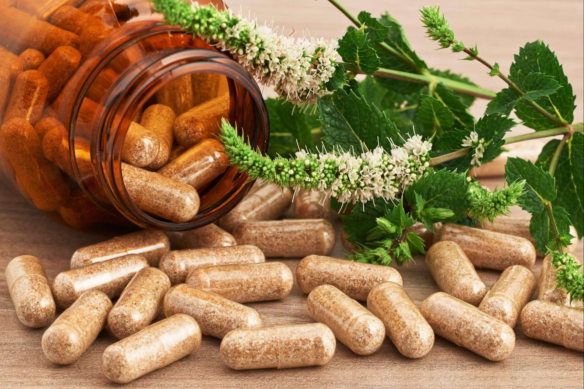 Obtener suplementos naturales para reforzar el sistema inmunológico a través de Biopharmacia
