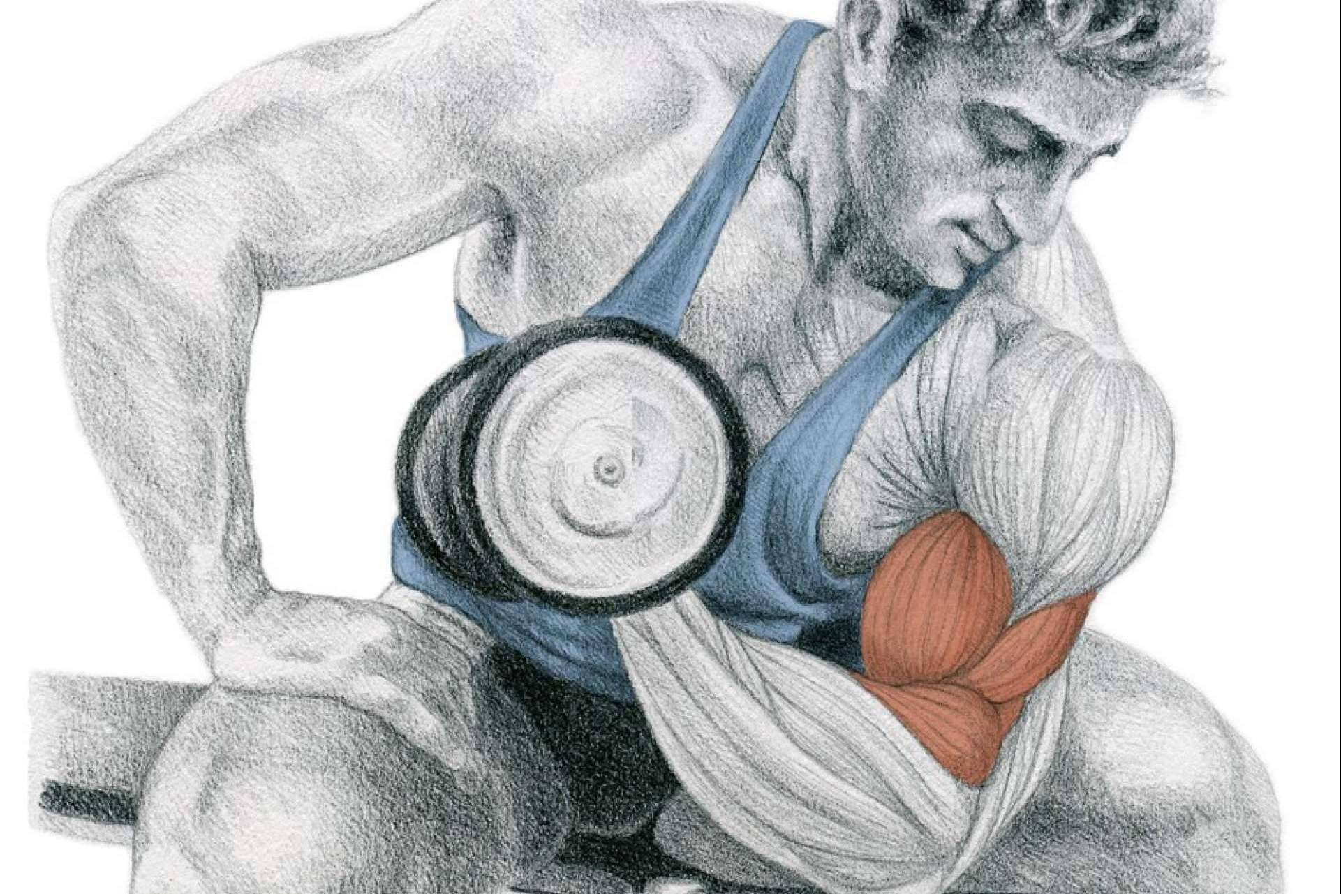 Un referente a nivel mundial, la enciclopedia de musculación de Óscar Morán